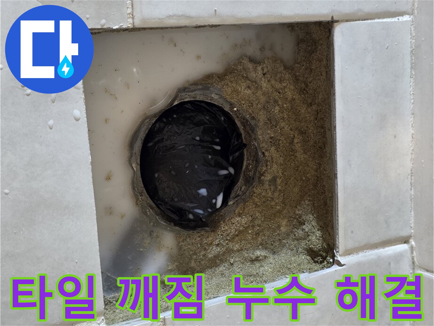 과천 문원동 욕실 하수구 주변 타일 깨짐 누수 - 깨진 타일 틈새의 물기, 꼼꼼한 점검과 완벽한 해결