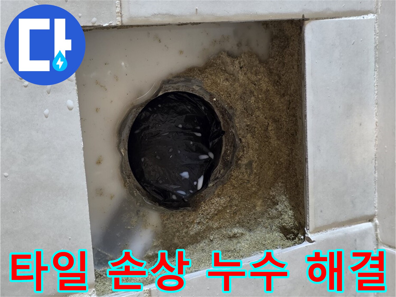 과천 문원동 욕실 하수구 주변 타일 손상 누수 - 깨진 타일 틈새, 깔끔한 교체와 완벽한 방수