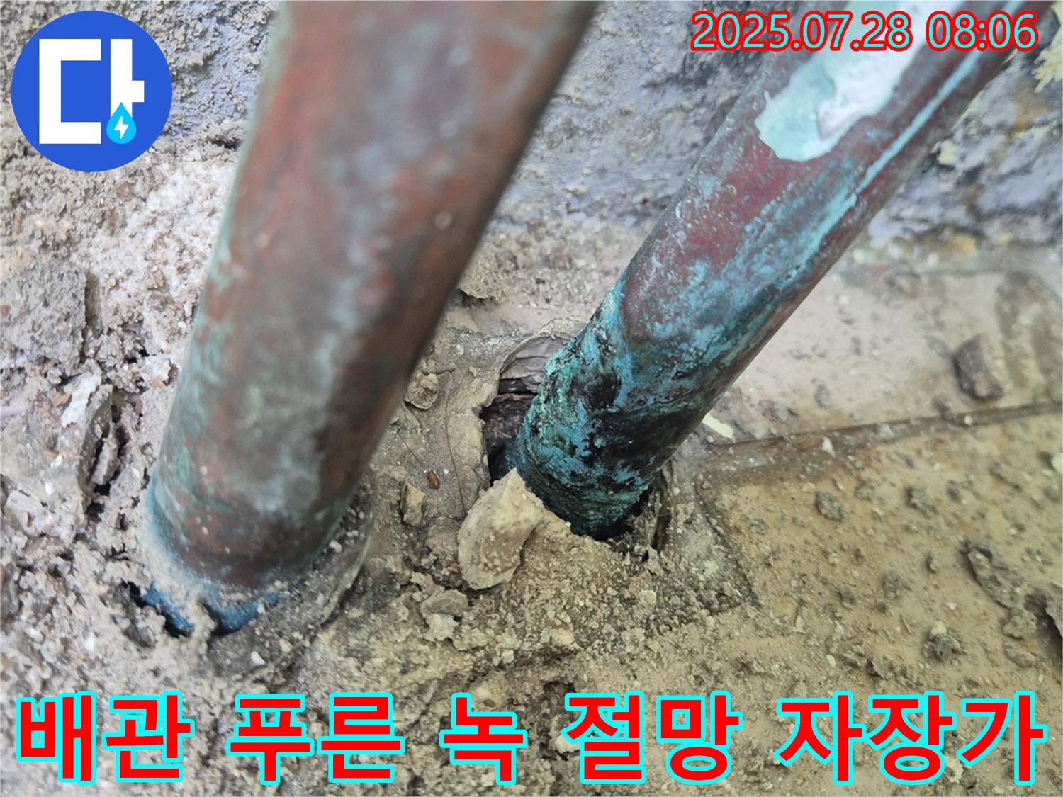 남양주 화도읍 두산아파트 누수 - 낡은 배관을 뒤덮은 푸른 녹은 깊은 절망과 멈춰진 시간 속 아파트의 멈춰버린 자장가를 떠올리게 합니다.