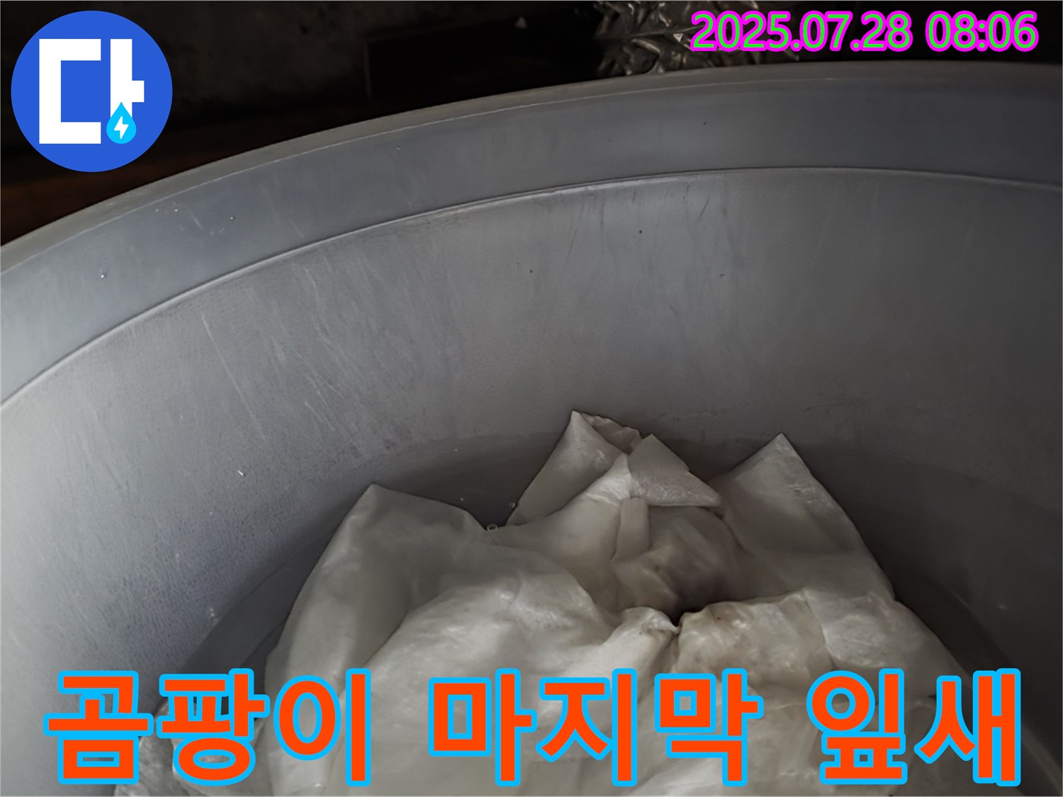 누수 해결 - 양동이 속 젖은 휴지, 곰팡이 왕국 마지막 잎새! 전문가의 손길로 퇴장을 돕고 쾌적한 환경을 만들어 드립니다.