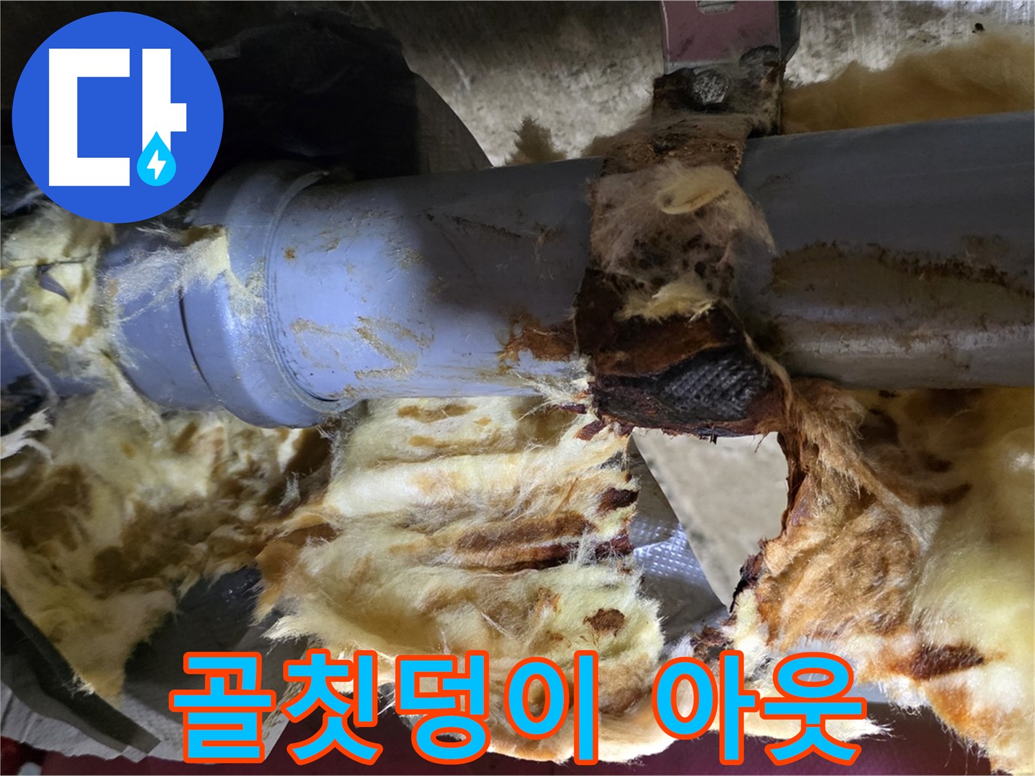 두산아파트 누수 - 낡은 배관, 곰팡이, 젖은 단열재 3가지 골칫덩이를 완전 아웃시켰습니다.