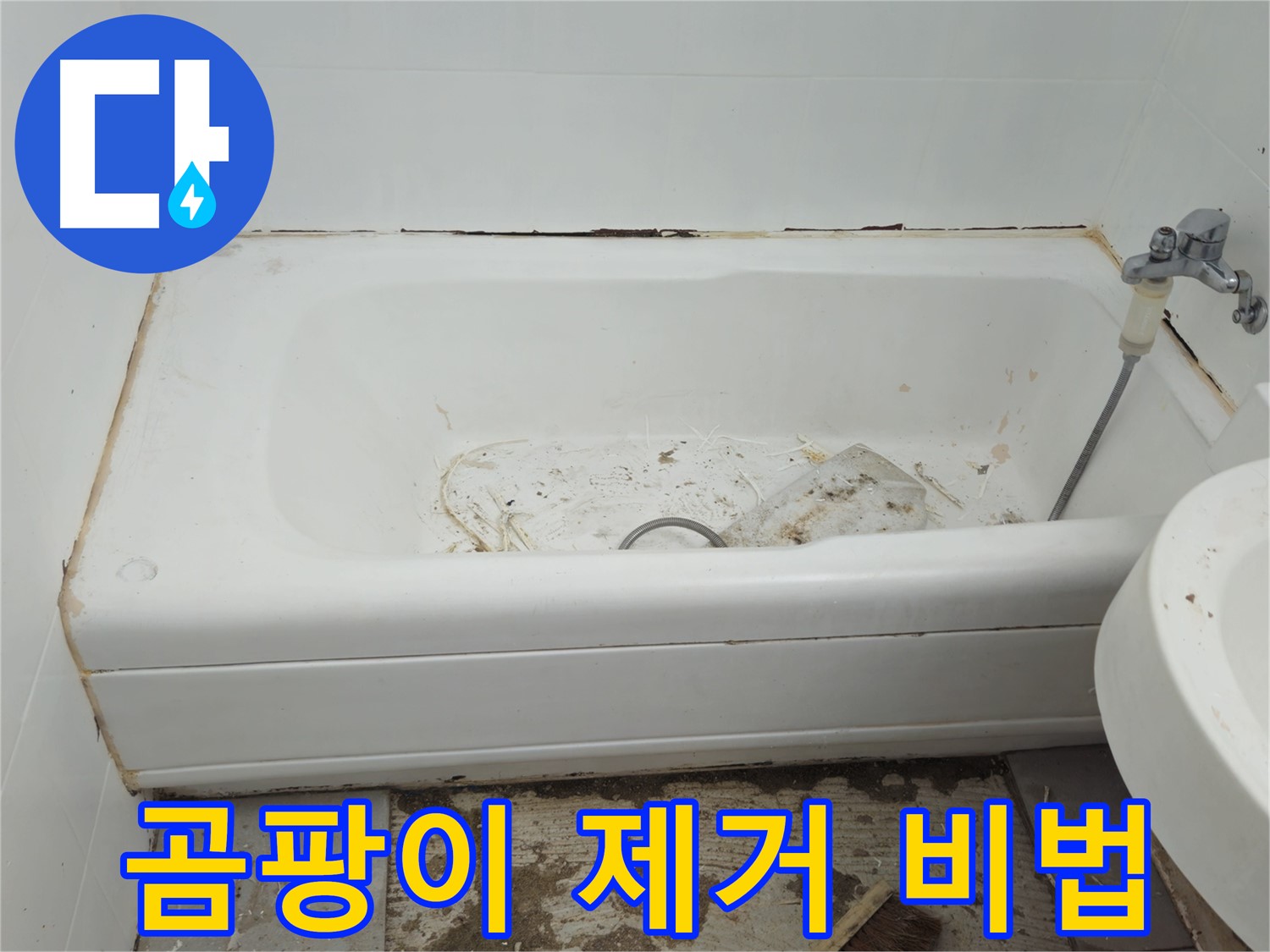 두산아파트 욕조 교체 - 30년 베테랑의 곰팡이 완벽 제거 비법