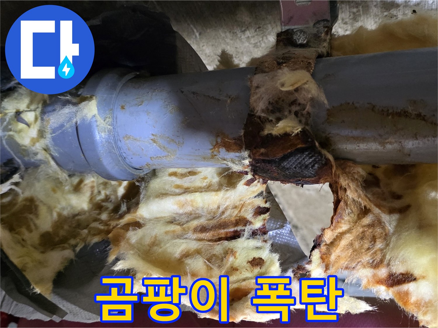 화도읍 두산아파트 누수 - 배관 연결 부위에서 누수가 발생하여 주변에 곰팡이가 폭탄처럼 번식하기 직전입니다.