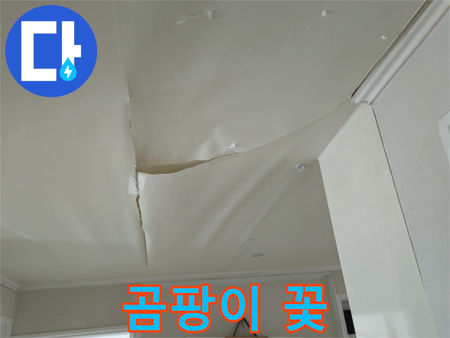 화도읍 창현리 두산아파트 천장 누수 - 곰팡이 꽃, 건강 비상!