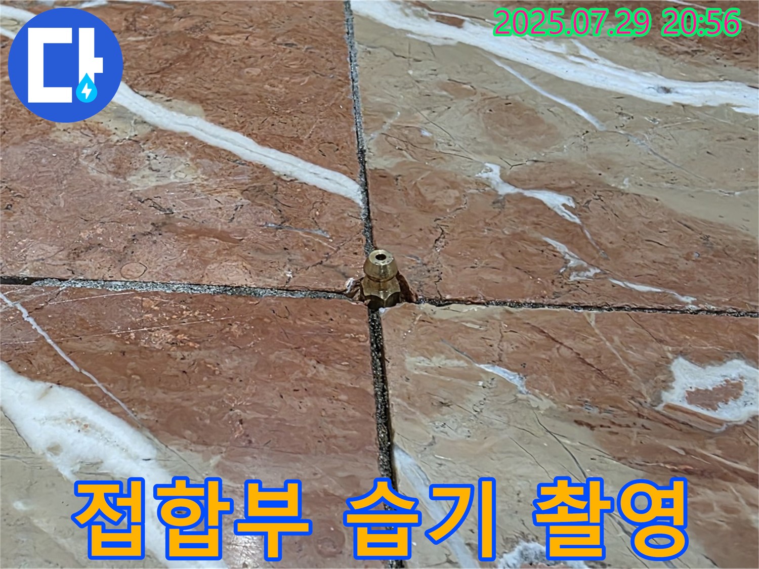 마루 타일 접합부 내부 습기 - 내시경 촬영으로 초기 점검