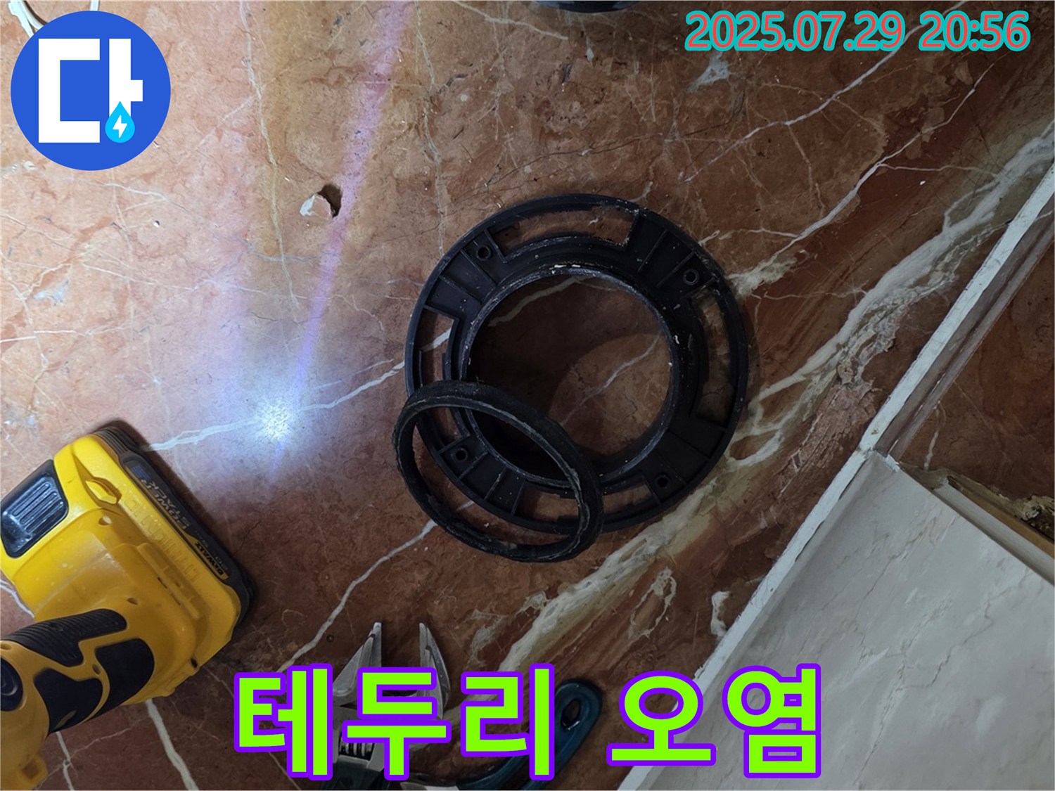 테두리 오염 - 변기 테두리 오염 및 곰팡이