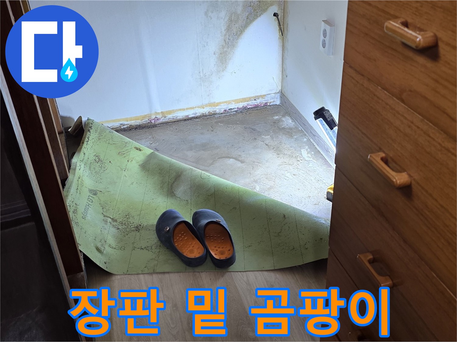 옥인동 주택 - 장판 밑 곰팡이와 습기 - 누수의 흔적