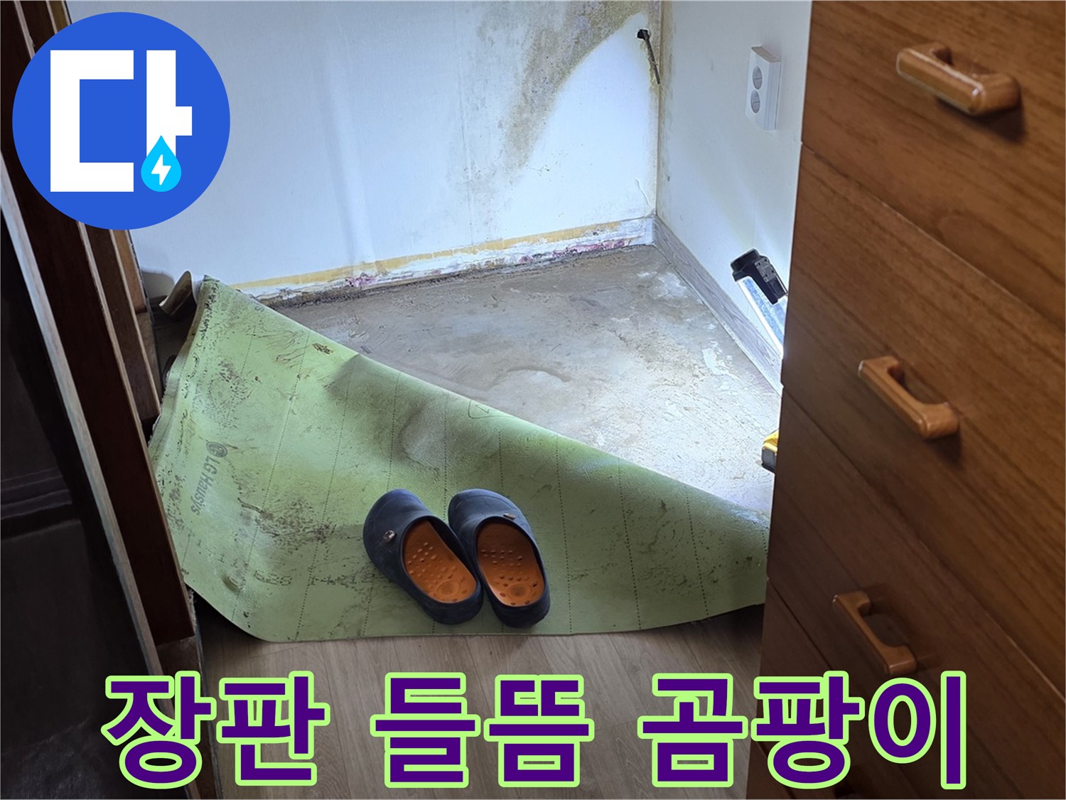 장판 들뜸과 곰팡이 - 습기 찬 환경의 증거