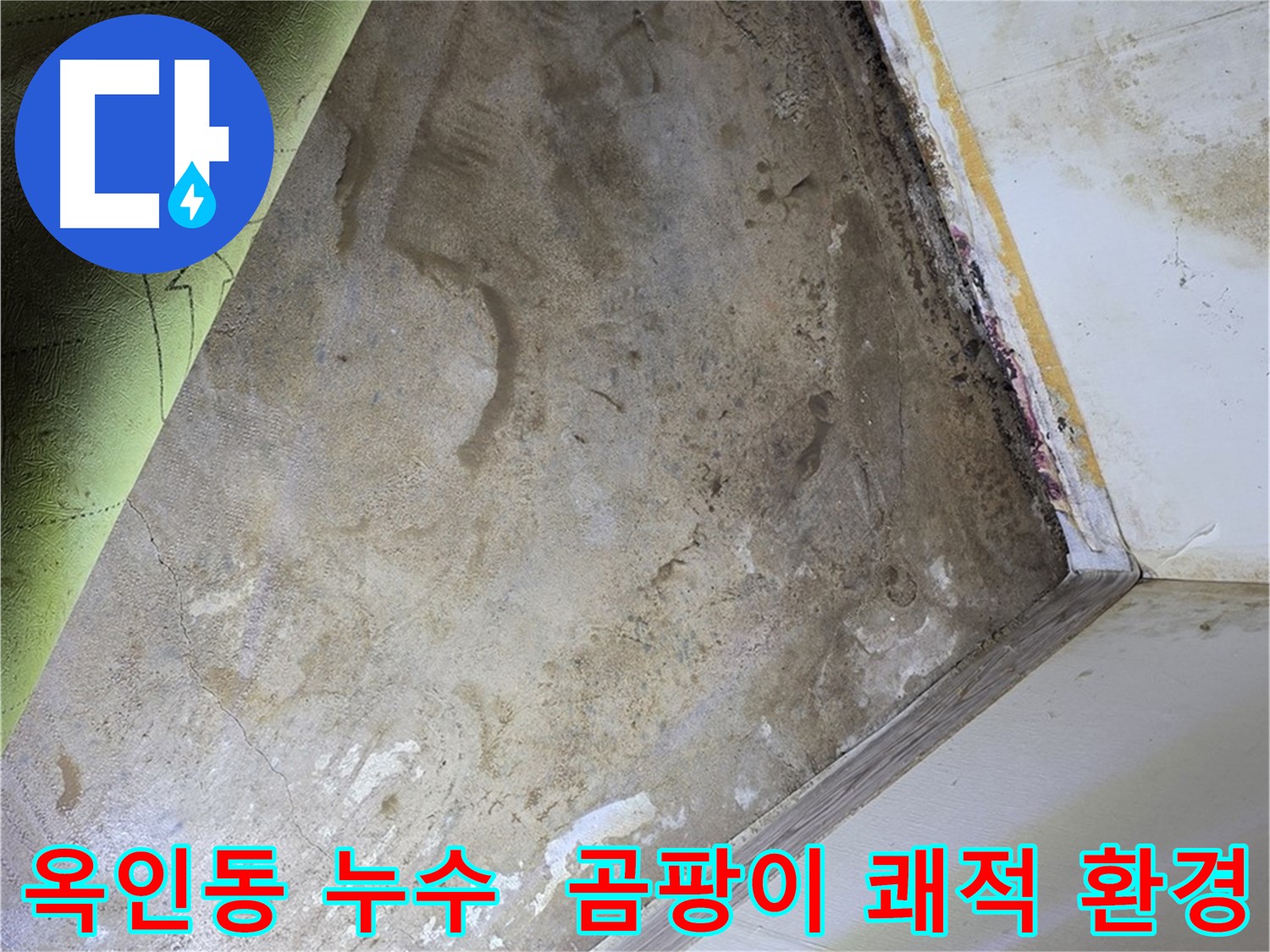 장판 밑 곰팡이 - 옥인동 건강하고 쾌적한 실내 환경 선택