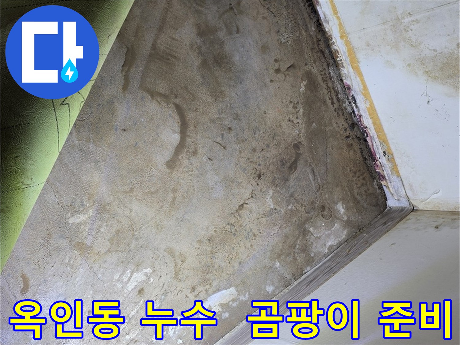 장판 밑 곰팡이 - 옥인동 곰팡이 제거 완벽 준비