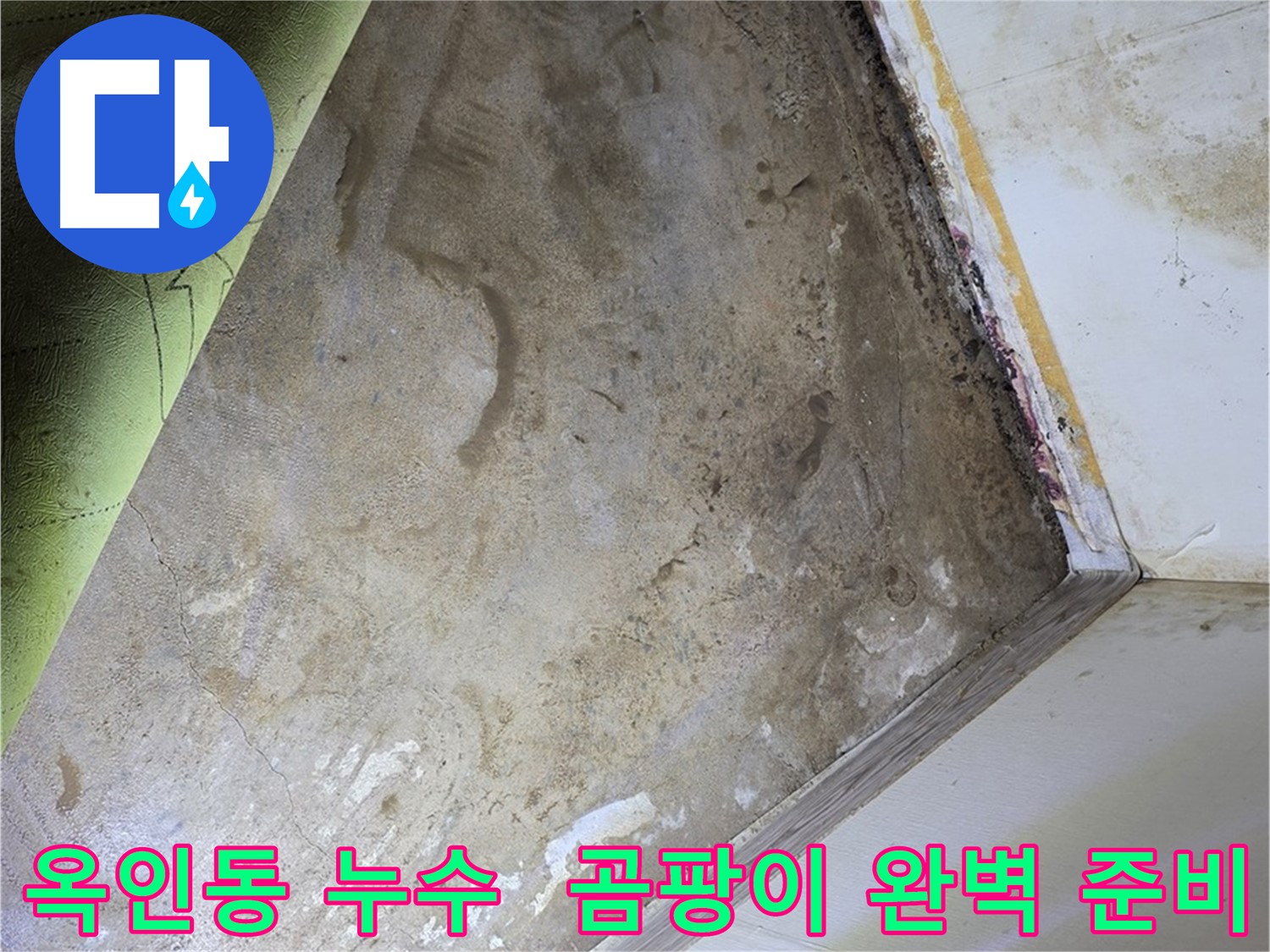 장판 밑 곰팡이 - 옥인동 곰팡이 제거를 위한 완벽 준비