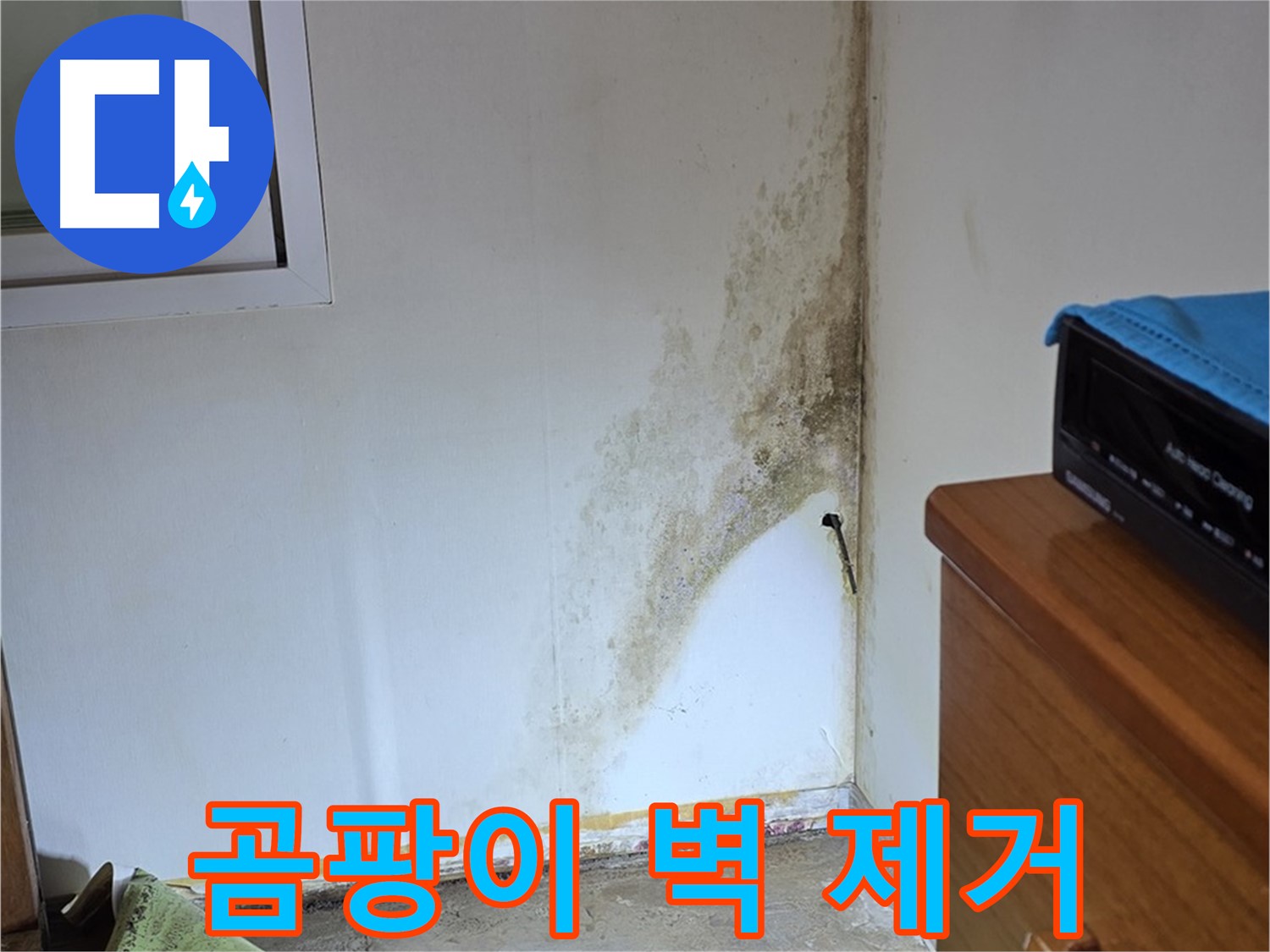 종로구 청운동 곰팡이 벽 문제 해결 - 전문 장비를 사용한 정확한 누수 원인 진단 및 곰팡이 제거 작업
