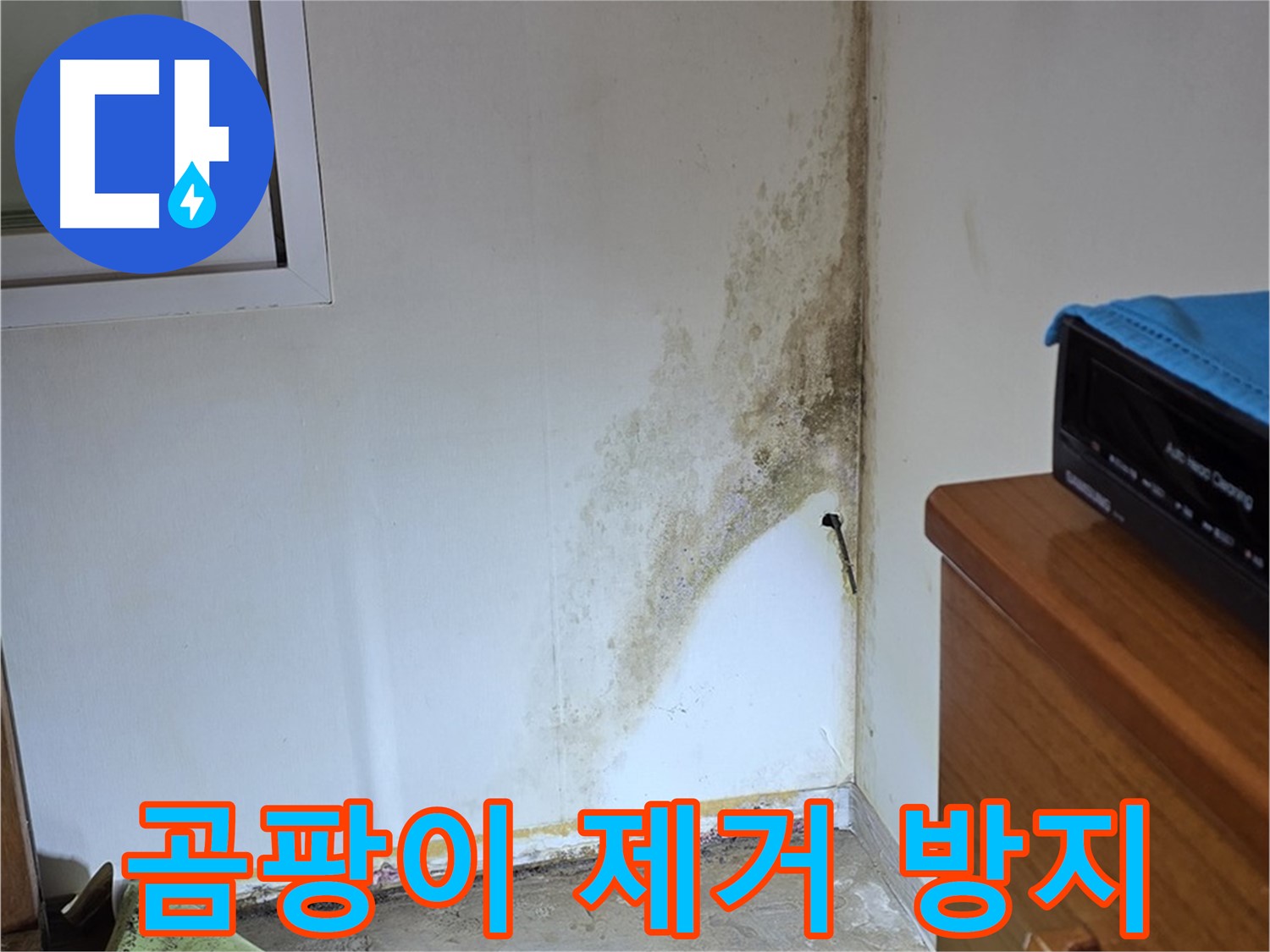 종로구 청운동 누수 - 누수 해결은 물론 곰팡이 제거 및 방지까지 완벽하게 - 곰팡이 재발 방지