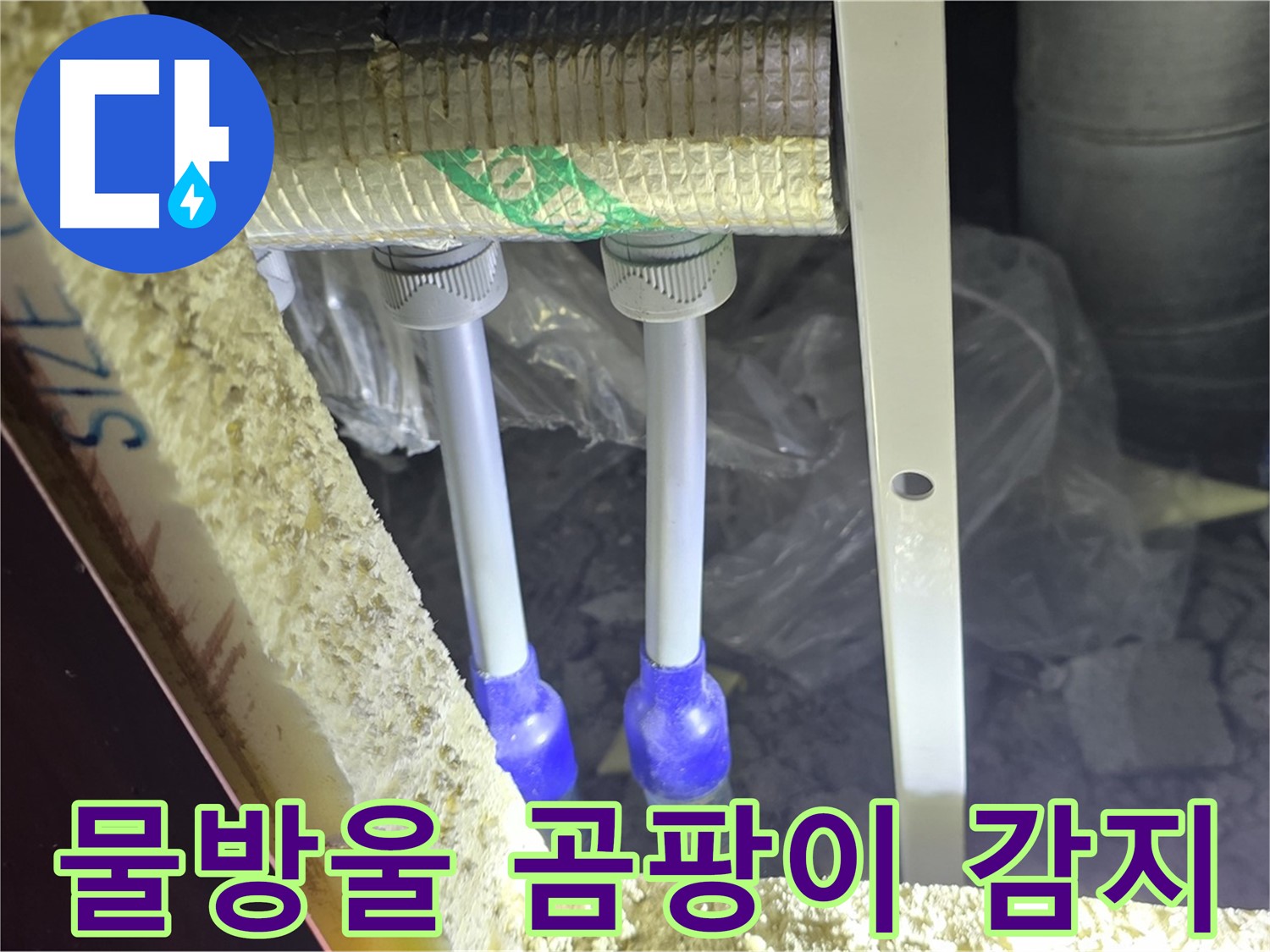 삼숭동 양주자이 누수 - 배관 연결 부속 주변 물방울 맺힘 및 곰팡이 서식 여부 집중 감지