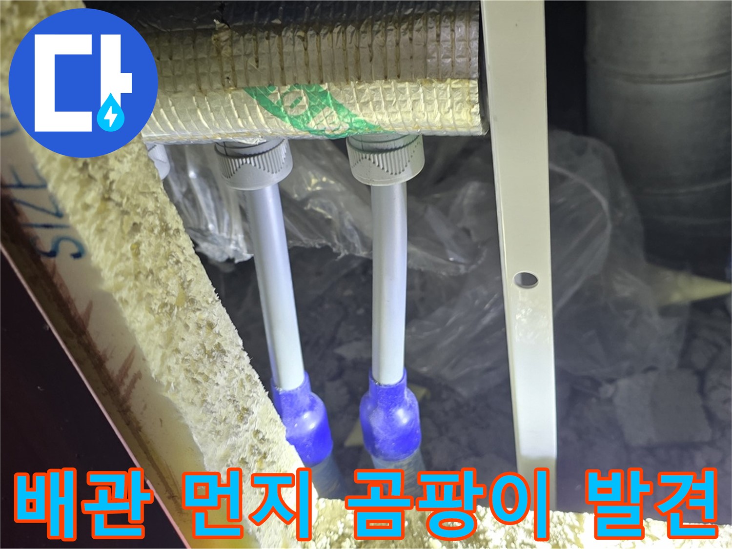 삼숭동 양주자이 누수 - 배관 연결 부위 주변 먼지 뭉침 및 곰팡이 흔적 초기 발견