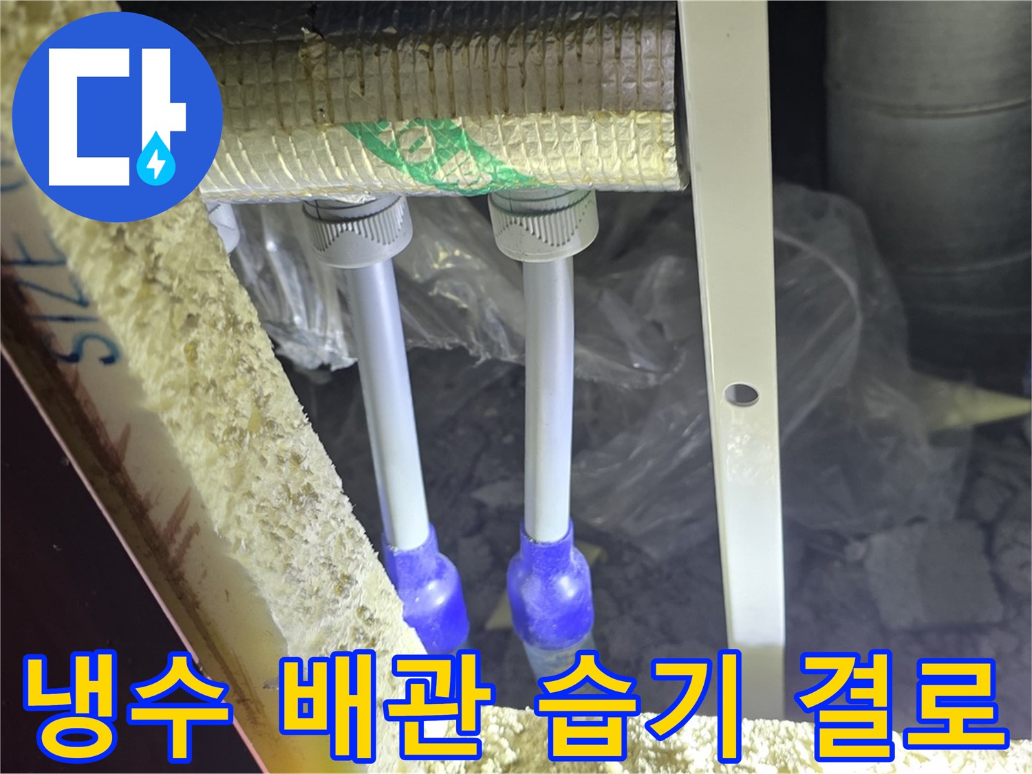 삼숭동 양주자이 아파트 누수 - 냉수 배관 연결 부위 주변 습기 및 결로 발생 여부 집중 확인
