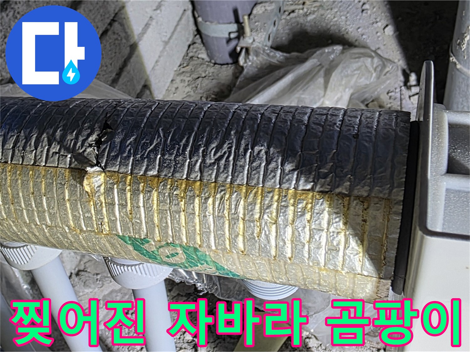 삼숭동 자이아파트 - 찢어진 자바라 - 젖은 단열재 - 곰팡이 - 악취