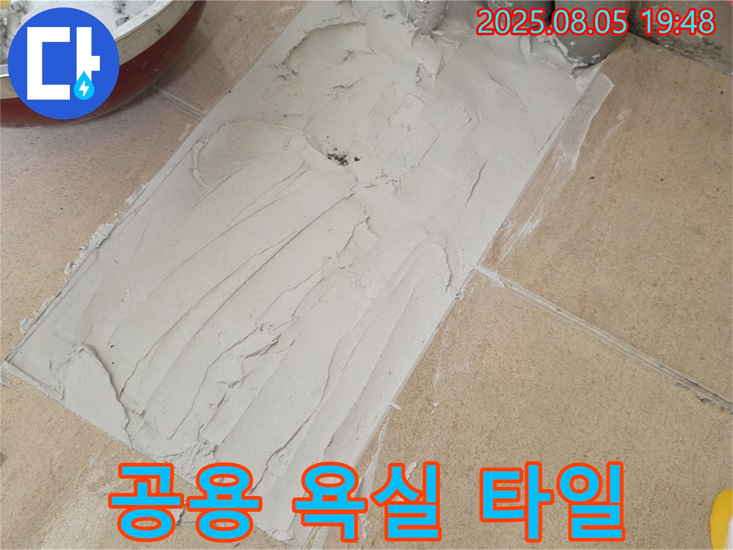 양주 삼숭동 누수 - 공용 욕실 타일 교체로 누수 문제 해결 및 미관 개선