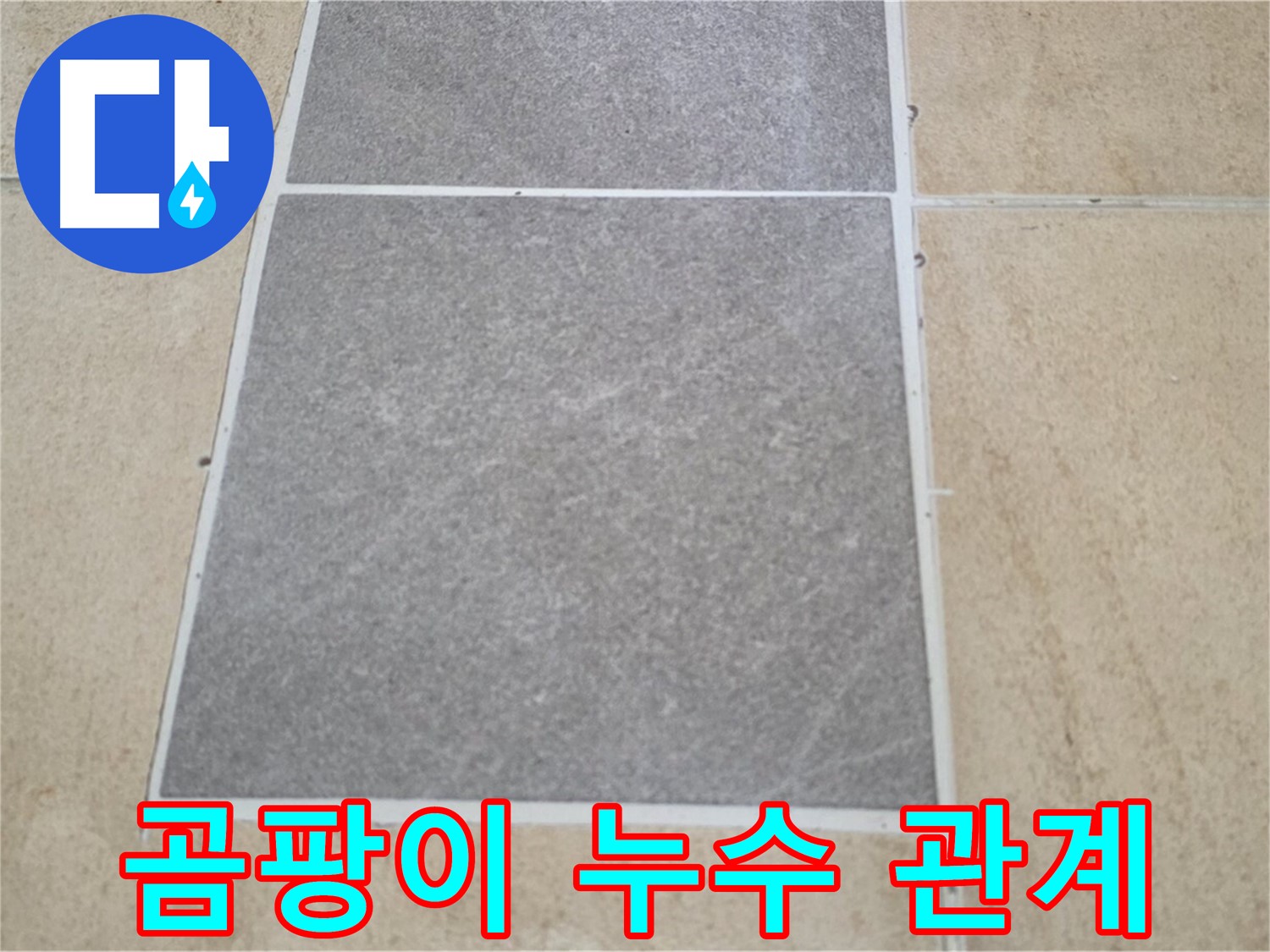 양주 삼숭동 아파트 - 교체된 타일 주변에 곰팡이가 발생하여 누수와의 관계를 분석하고 있습니다.