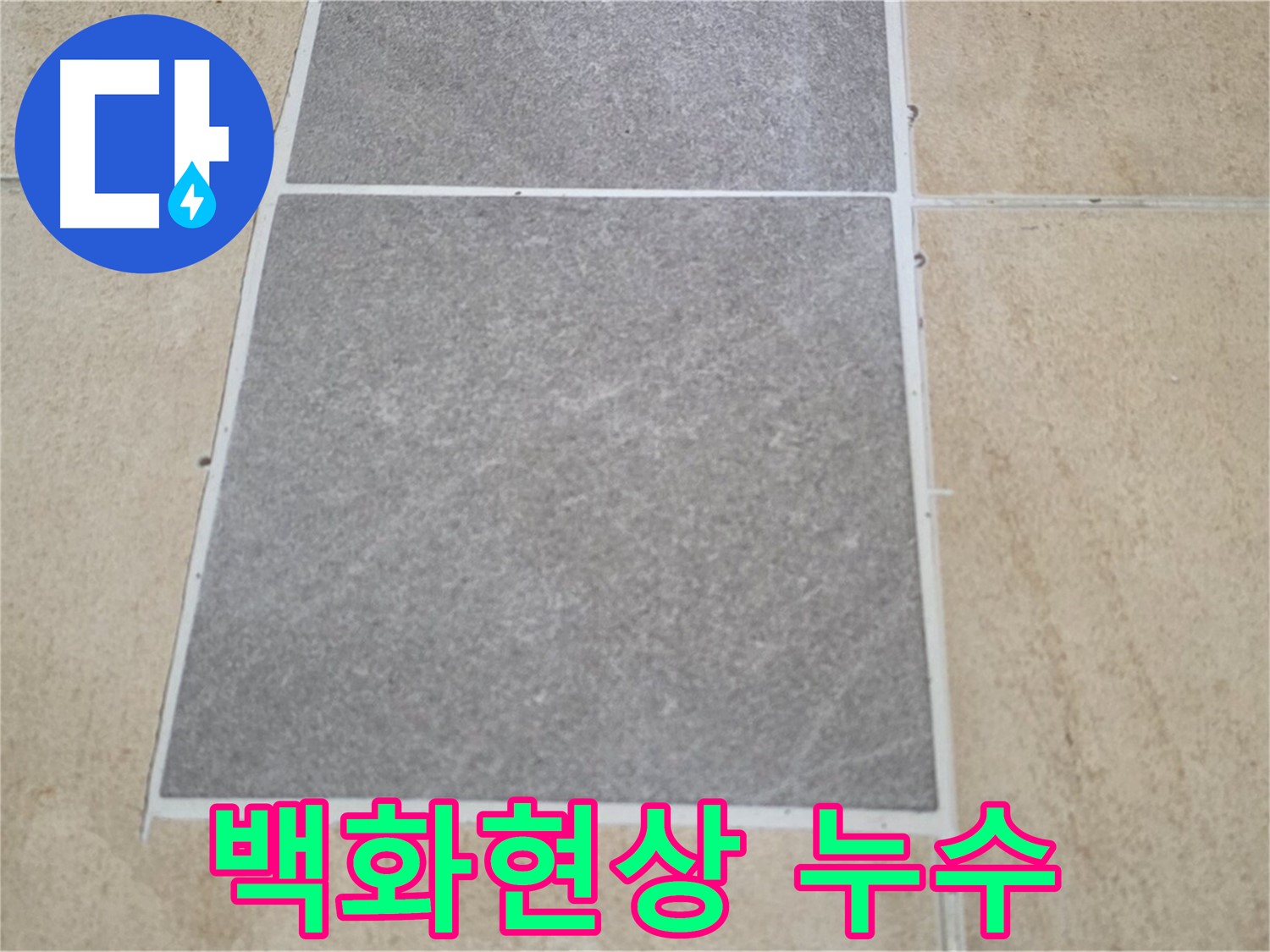 양주 삼숭동 아파트 - 타일 틈새 백화현상과 누수의 연관성을 조사하고 있습니다.