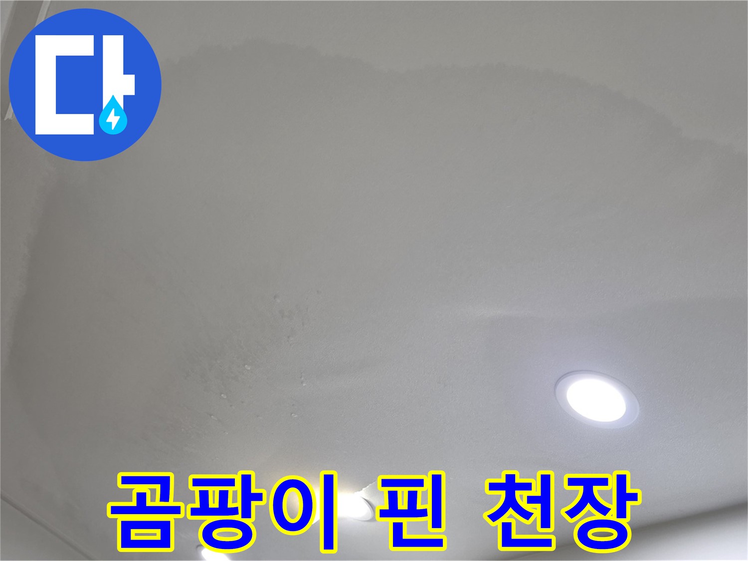 양주 아파트 누수 - 곰팡이 핀 천장, 공기 오염
