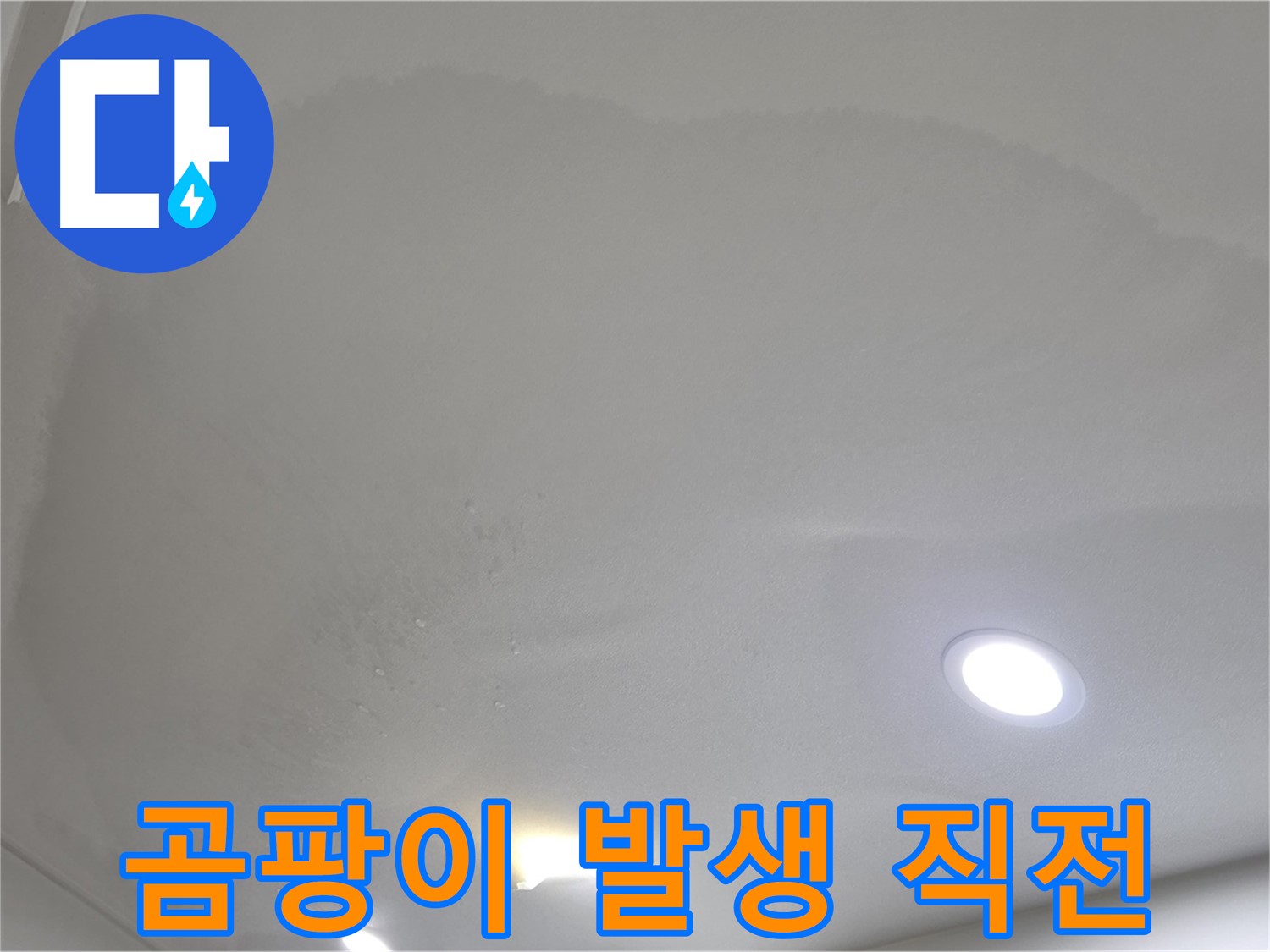 양주 아파트 누수 - 습기 찬 천장, 곰팡이