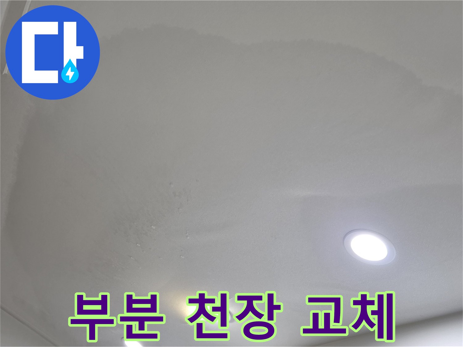 양주 천장 누수 - 곰팡이 핀 천장, 부분 교체