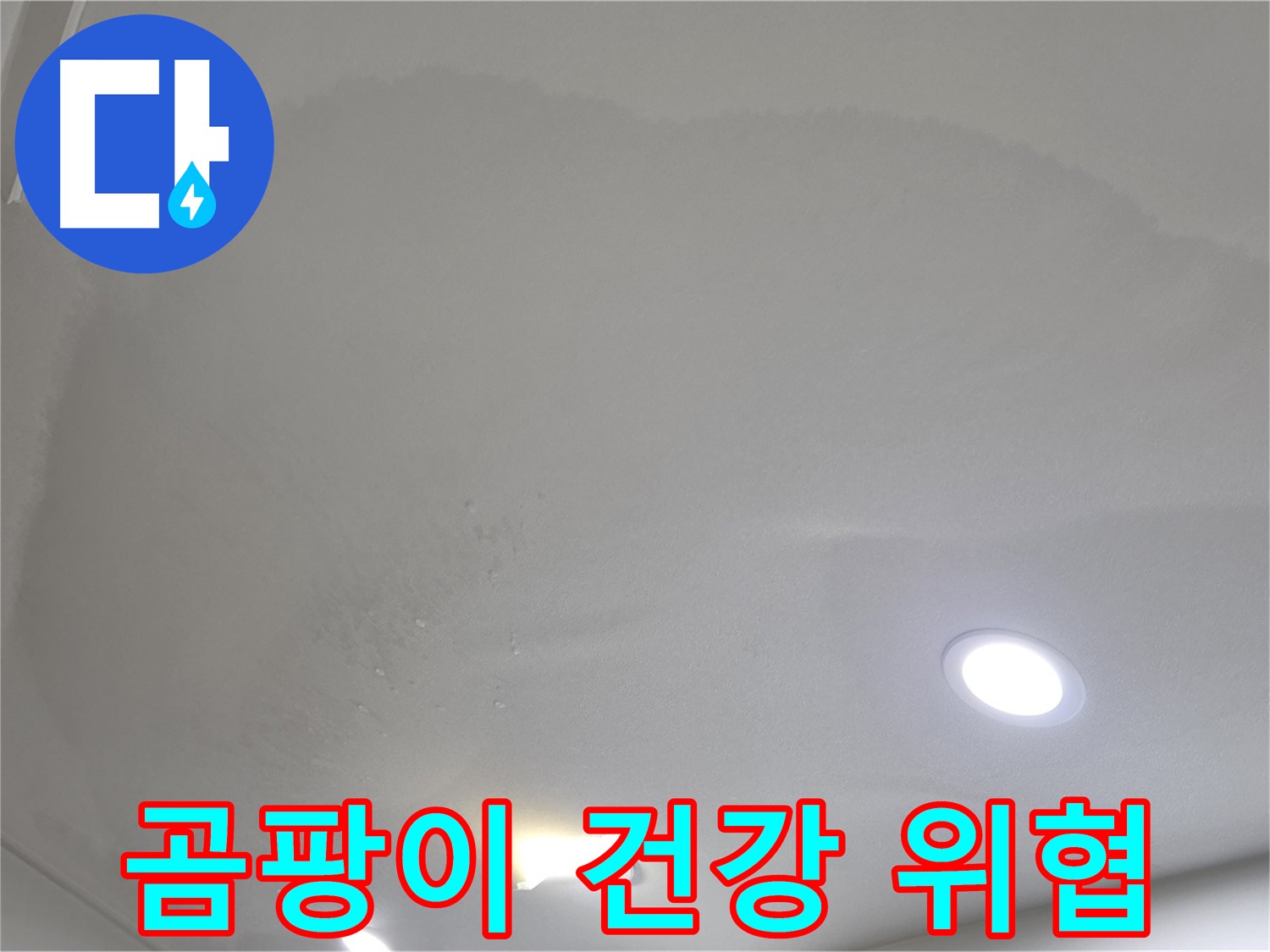 양주시 삼숭동 누수 - 넓은 천장 얼룩 - 곰팡이
