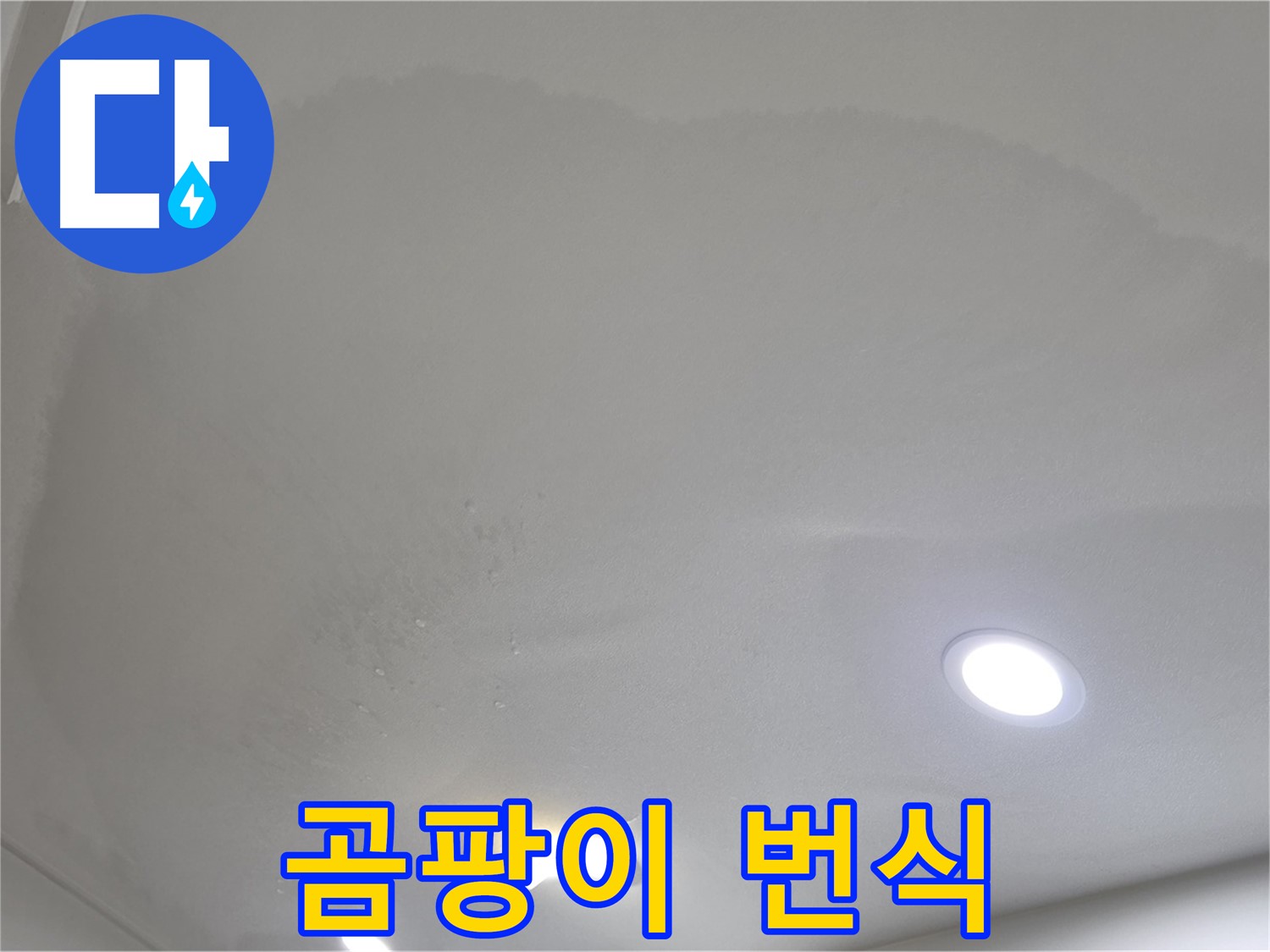 양주시 삼숭동 누수 - 얼룩 천장 - 곰팡이