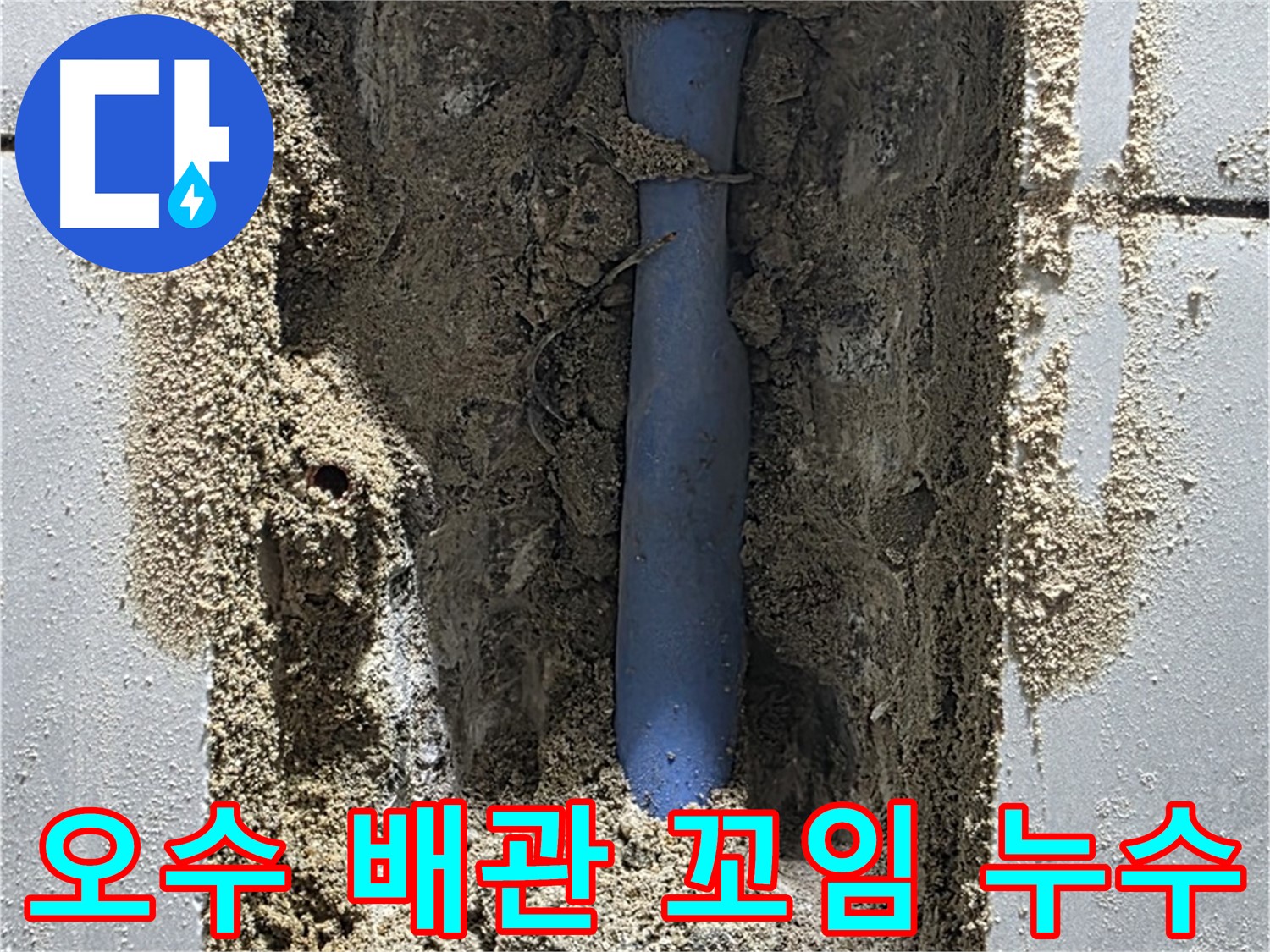 분당 쇳골 누수 - 꼬여버린 오수 배관 누수