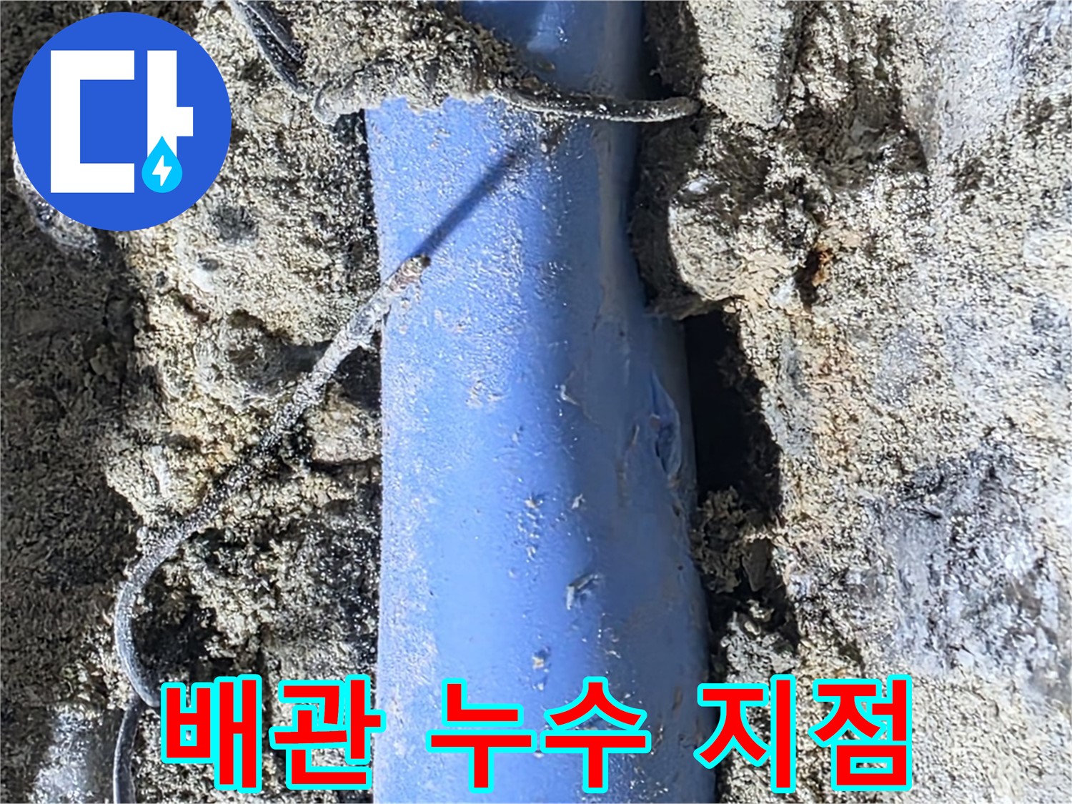 분당 쇳골로 누수 - 정확하게 찾아낸 배관 누수 지점을 클로즈업했습니다.