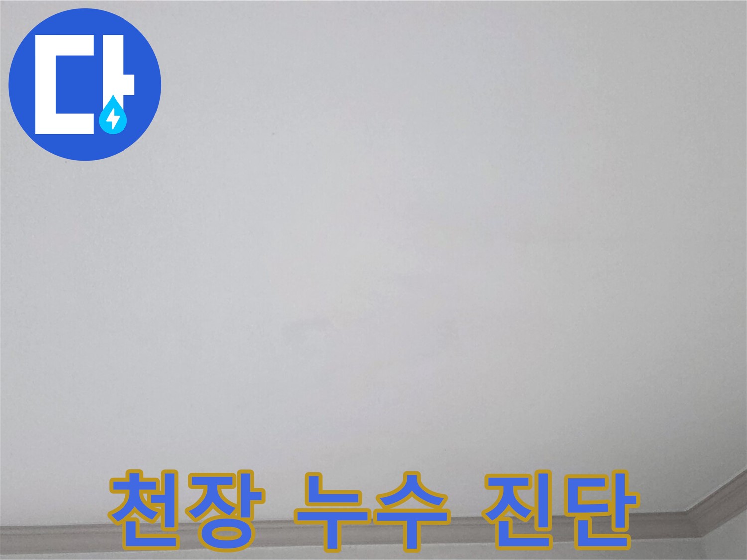 논현동 논현주공1단지 아파트 천장 누수 - 누수 원인 진단을 위한 꼼꼼한 검사