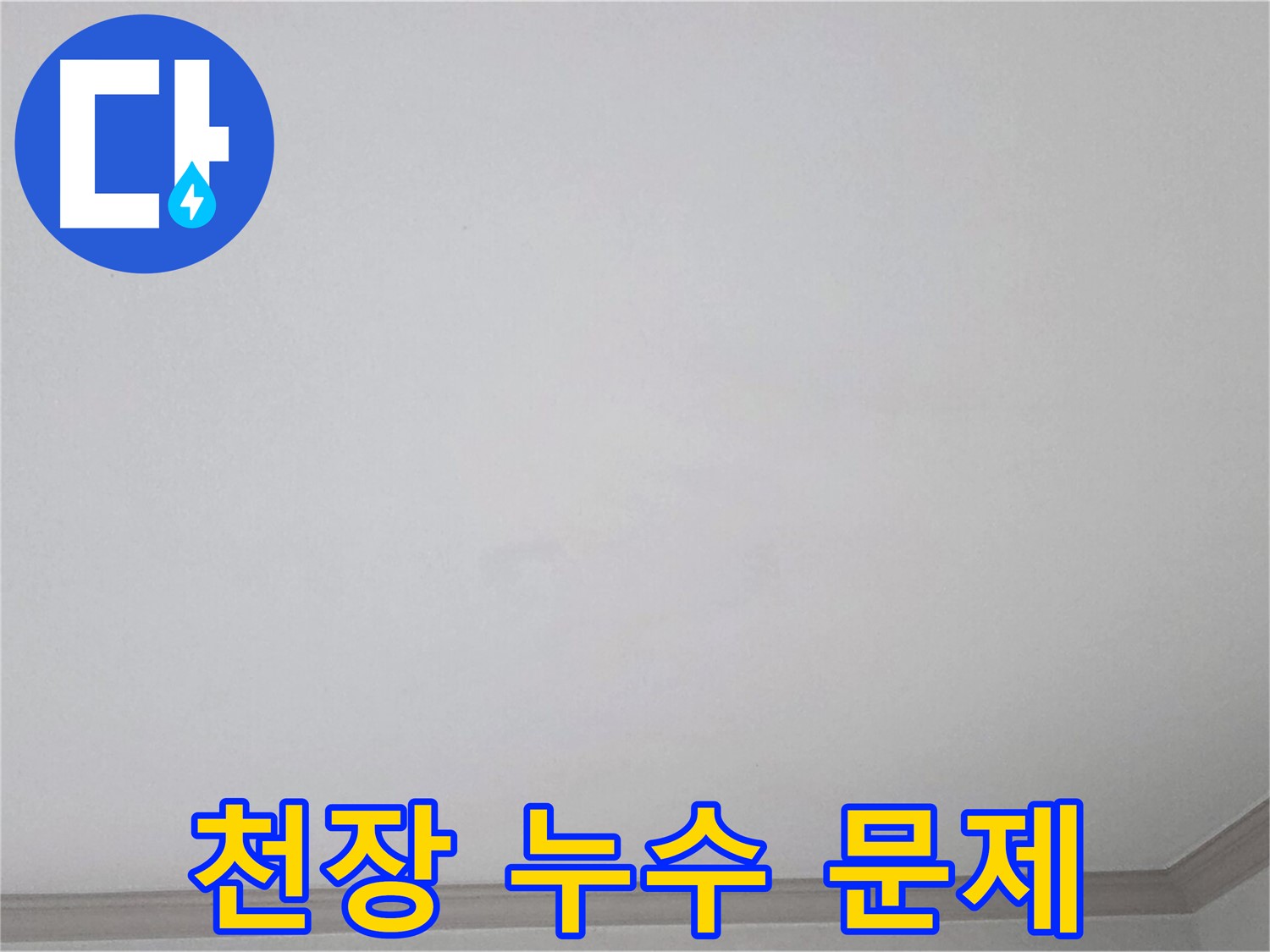 논현주공1단지 천장 누수 - 근본적인 누수 문제 해결을 위한 전문 진단