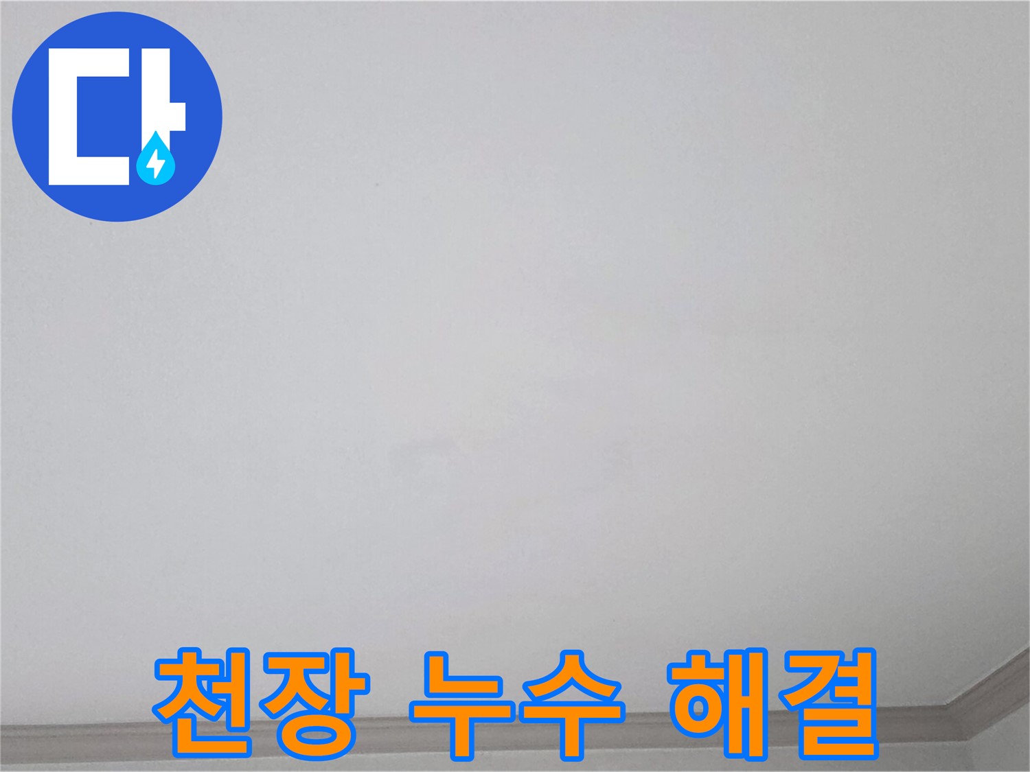 논현주공1단지 천장 누수 - 완벽한 해결을 위한 전문적인 시공