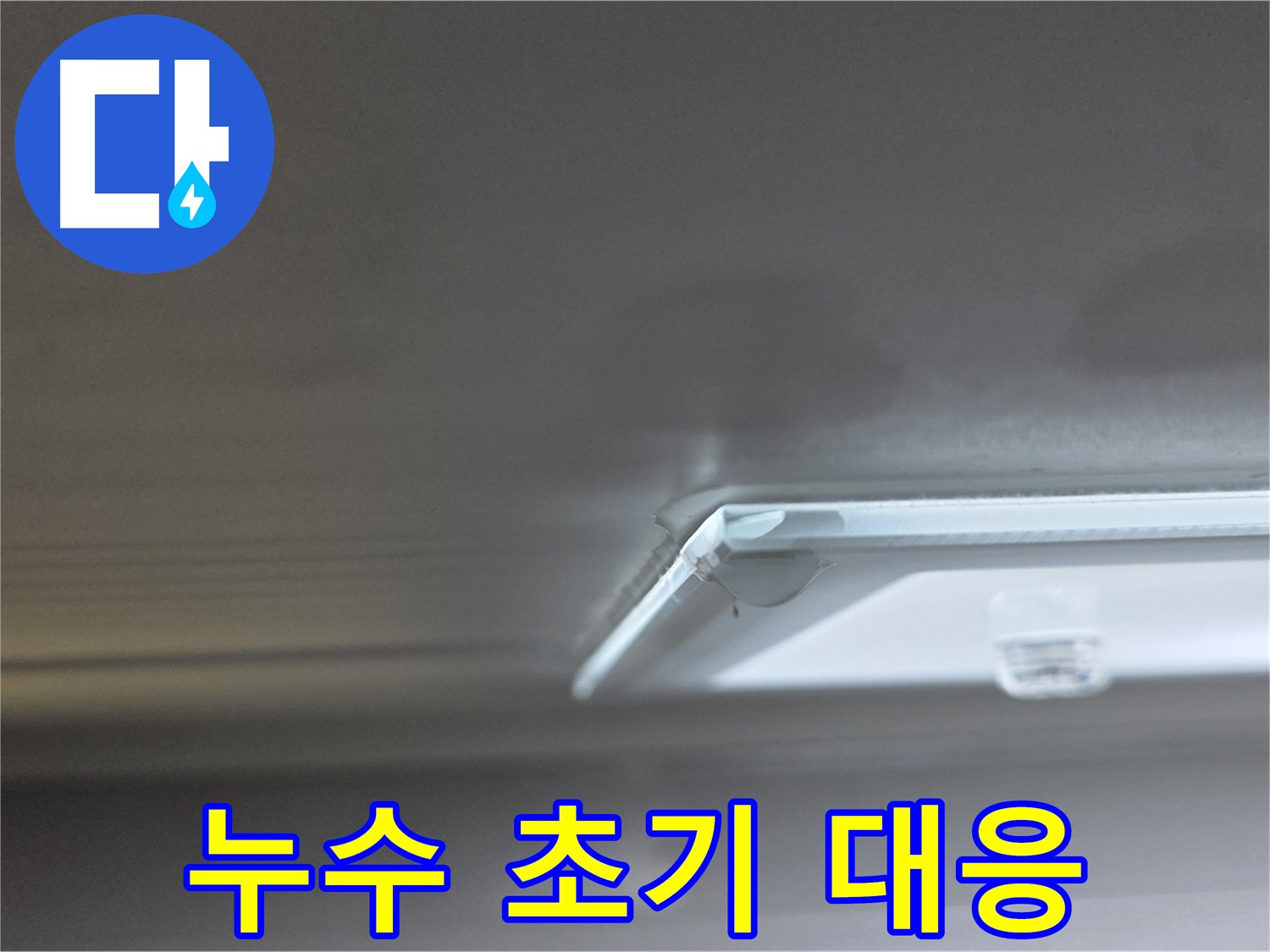 옥정동 율정마을 13단지 아파트 천장 누수 - 초기 누수 발생 시 신속한 대응이 중요합니다.