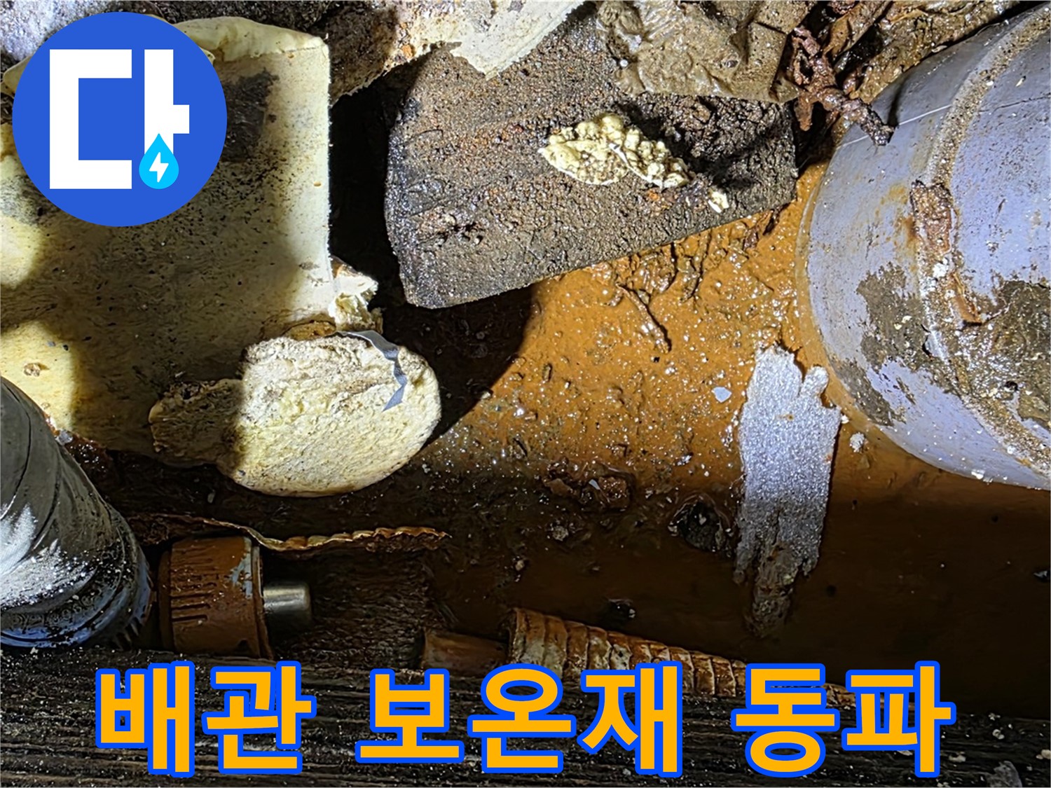 원삼 누수 현장 - 배관 부식과 보온재 문제 - 겨울철 동파 대비가 필수입니다.
