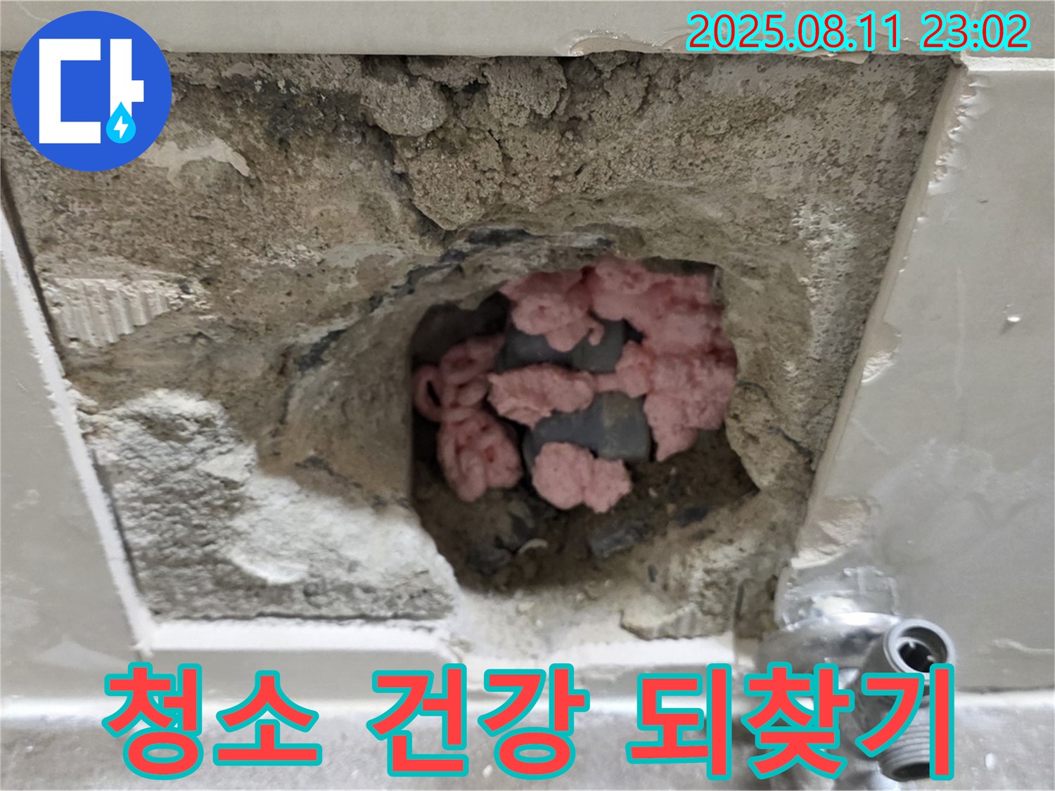 성북구 하월곡동 래미안월곡아파트 누수 - 천장 속 핑크 단열재, 곰팡이 깨끗하게 청소하고 건강 되찾기 프로젝트!
