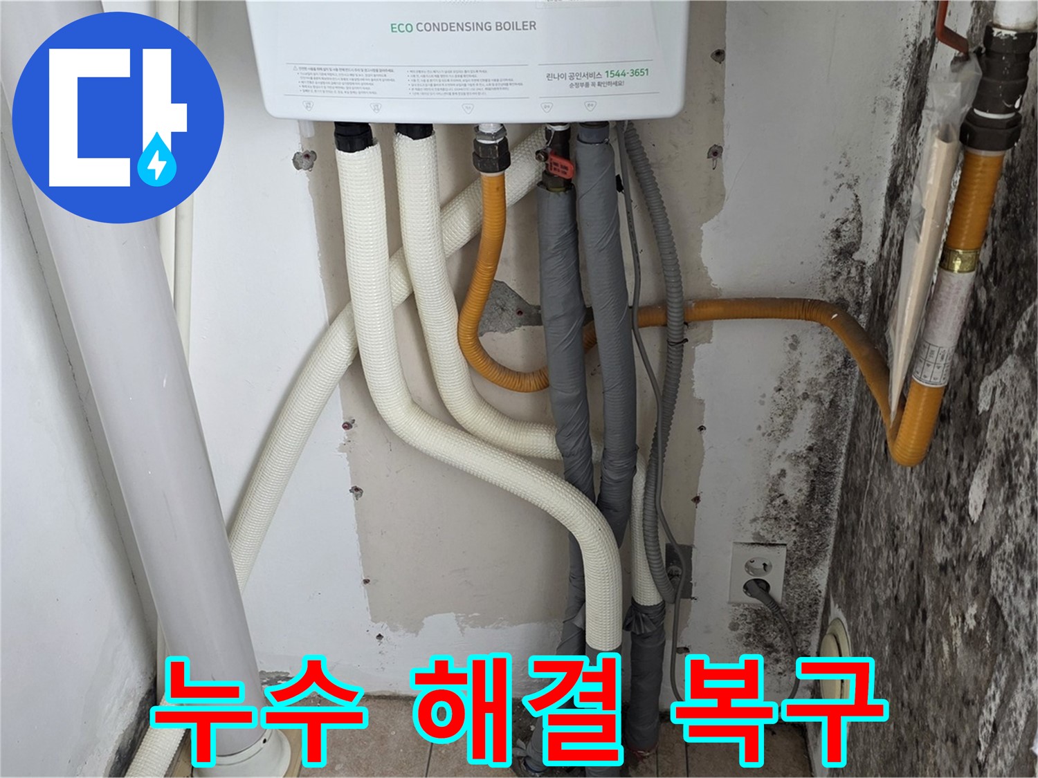 길음1동 아파트 누수 해결 - 곰팡이 벽, 노후 보일러 배관 누수 완벽 복구 완료