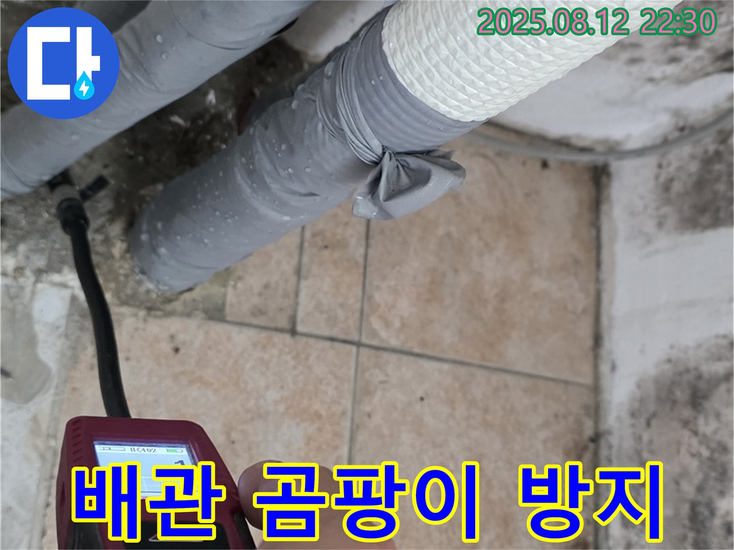길음동 숭인동 - 배관 누수 - 습도 측정으로 곰팡이 확산을 효과적으로 방지합니다.