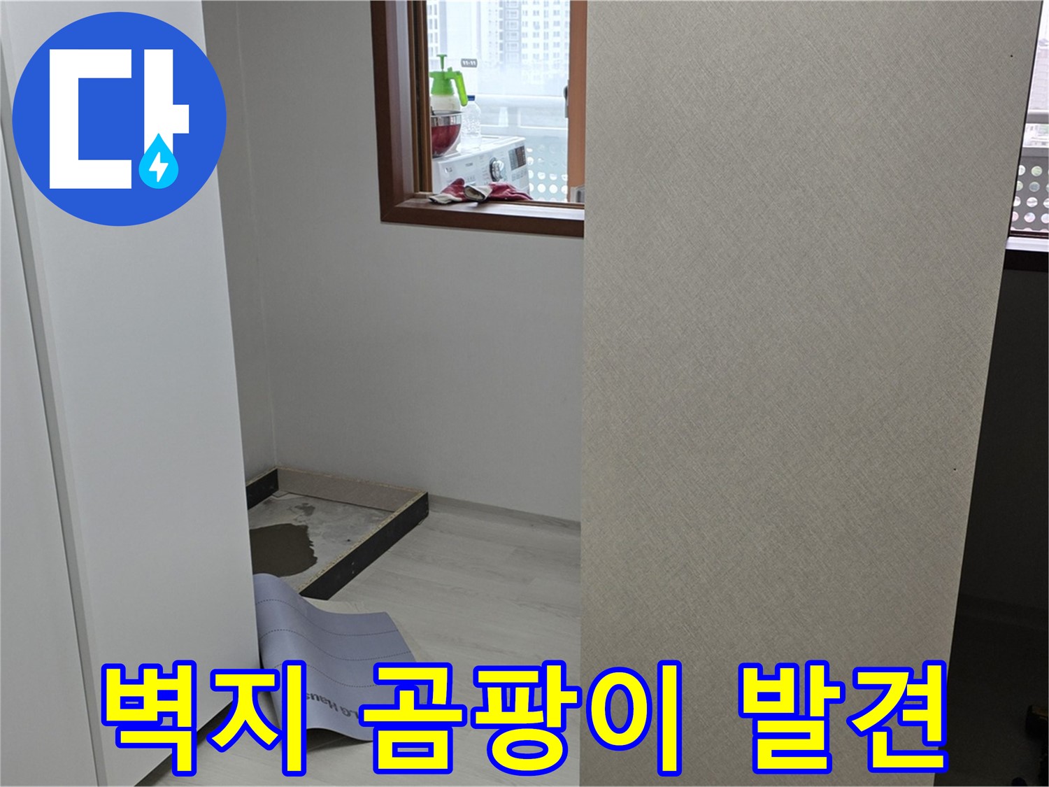 길음동 숭인로 16번지 누수 - 벽지 곰팡이는 누수의 명백한 신호입니다