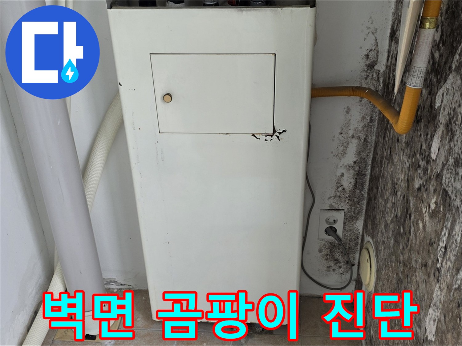 길음동 숭인로 - 곰팡이 핀 벽면 긴급 진단 - 누수 전문가의 상세 점검