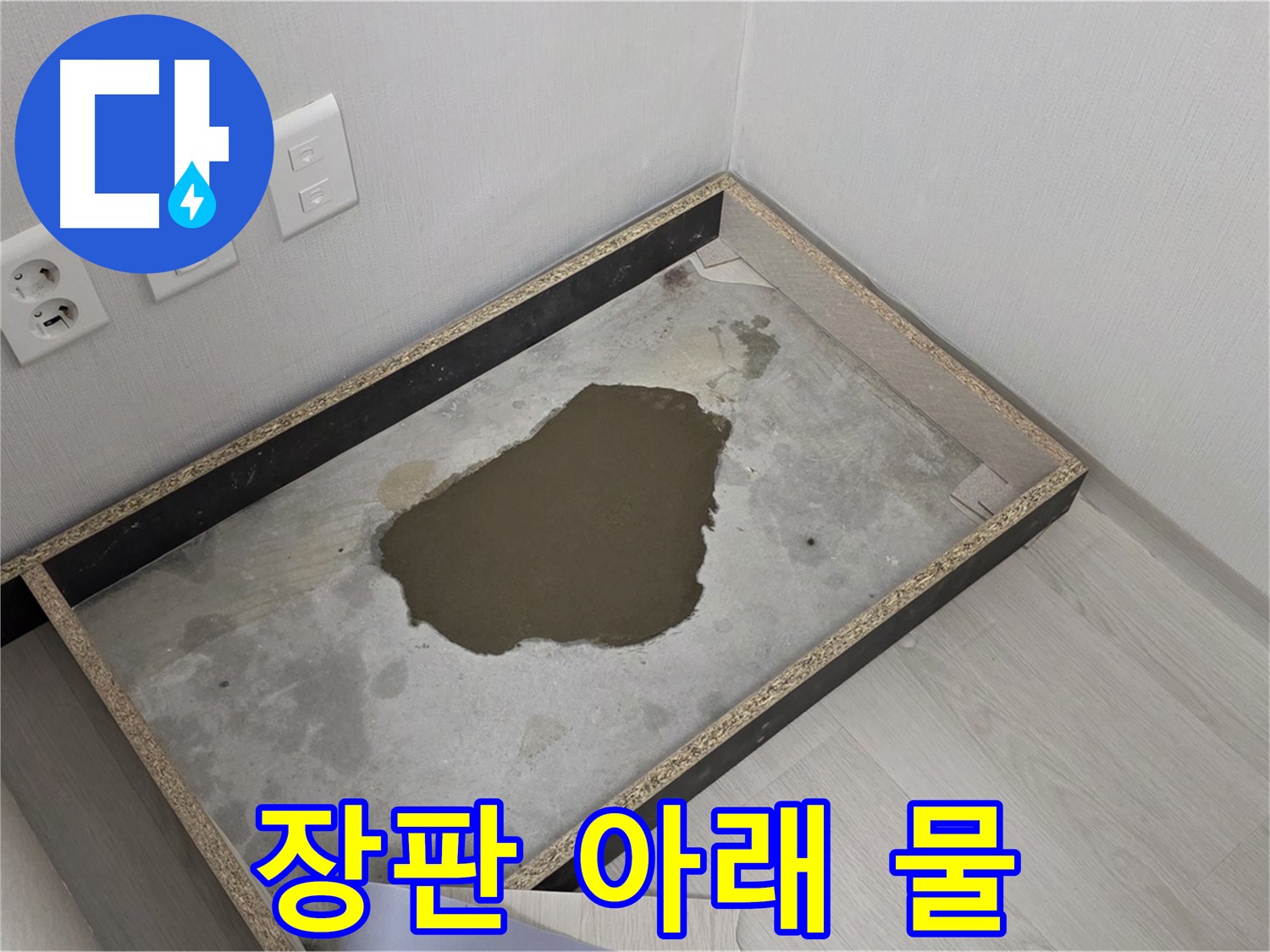 길음동 숭인로 누수 - 장판 아래 물 고임 확인 - 누수 해결 과정 본격 시작