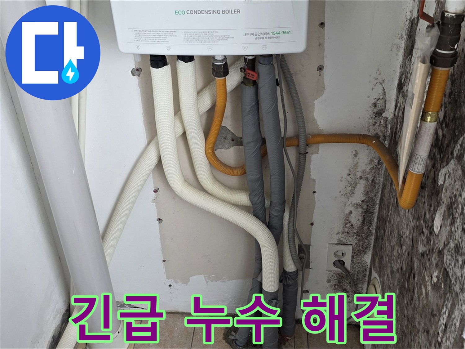 길음동 아파트 누수 - 곰팡이 핀 벽, 보일러 연결부 누수 긴급 해결 현장