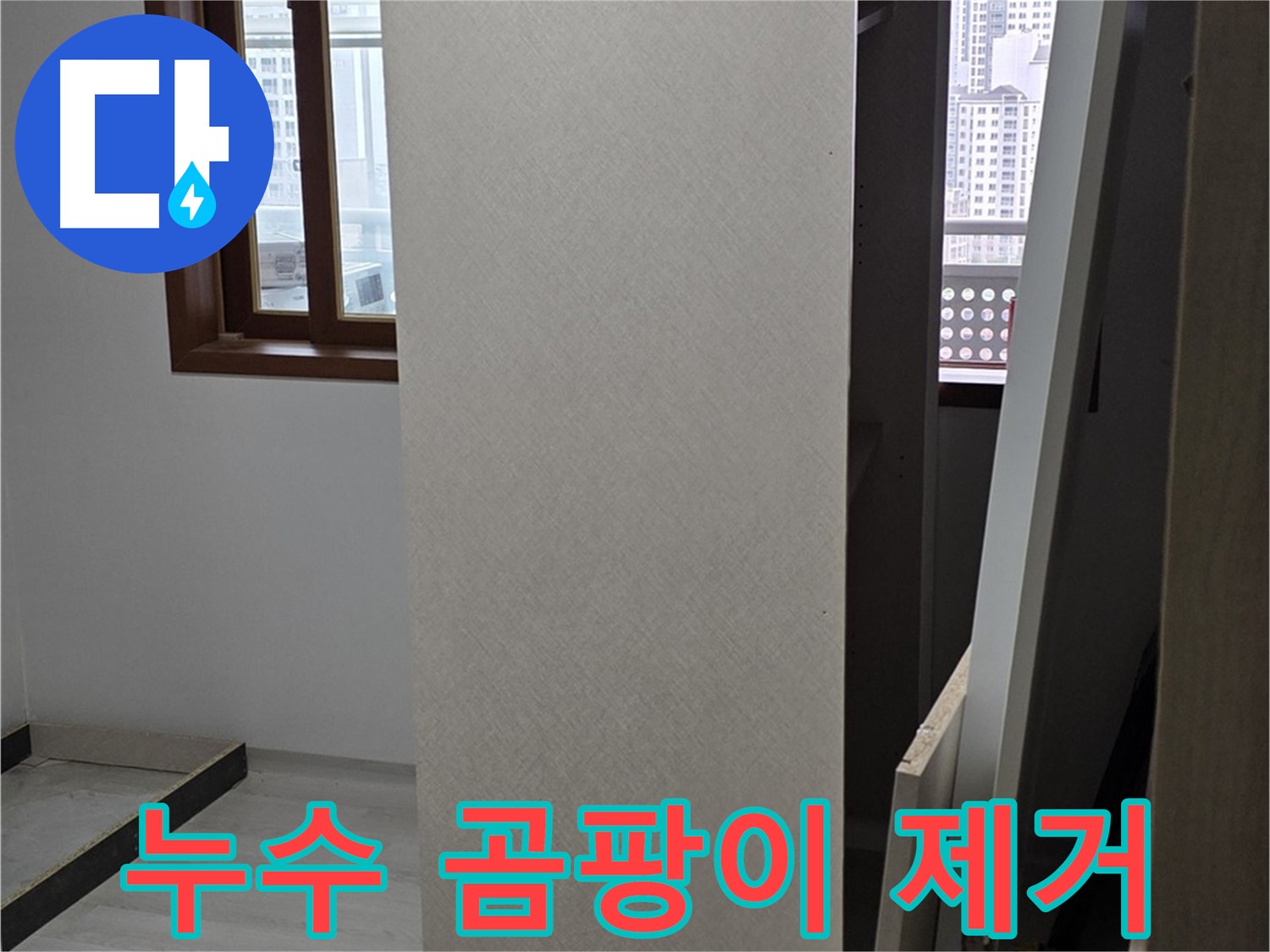 누수 곰팡이 - 곰팡이 제거 및 누수 해결