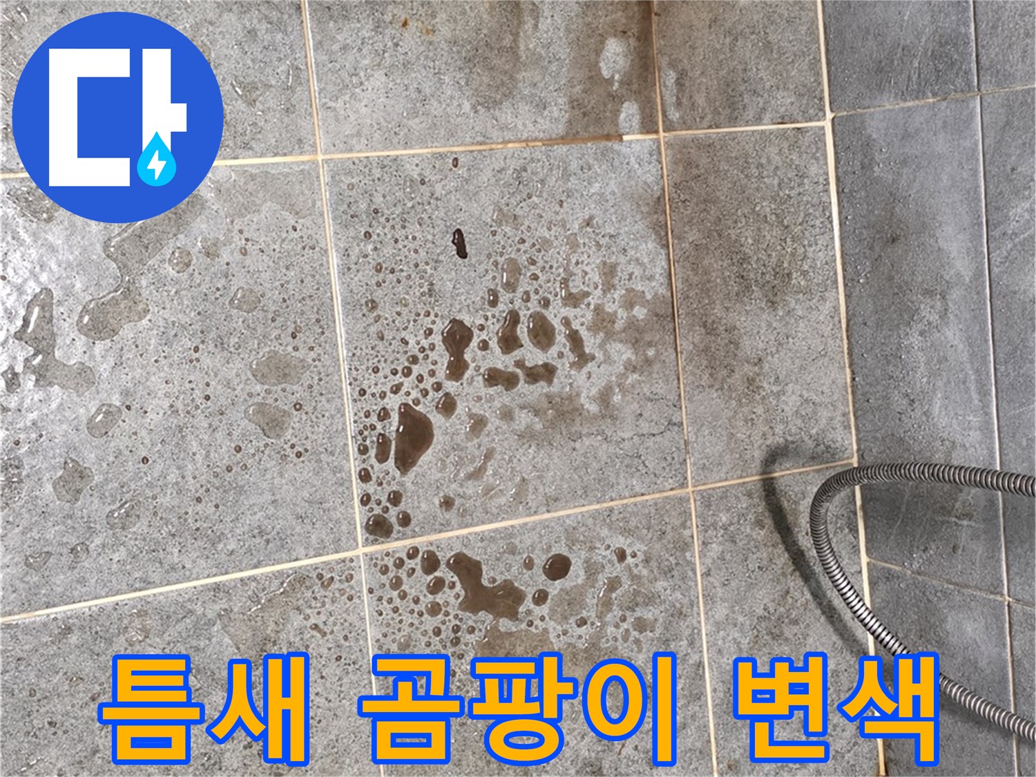 샤워부스 유리 틈새 - 곰팡이 - 실리콘 변색