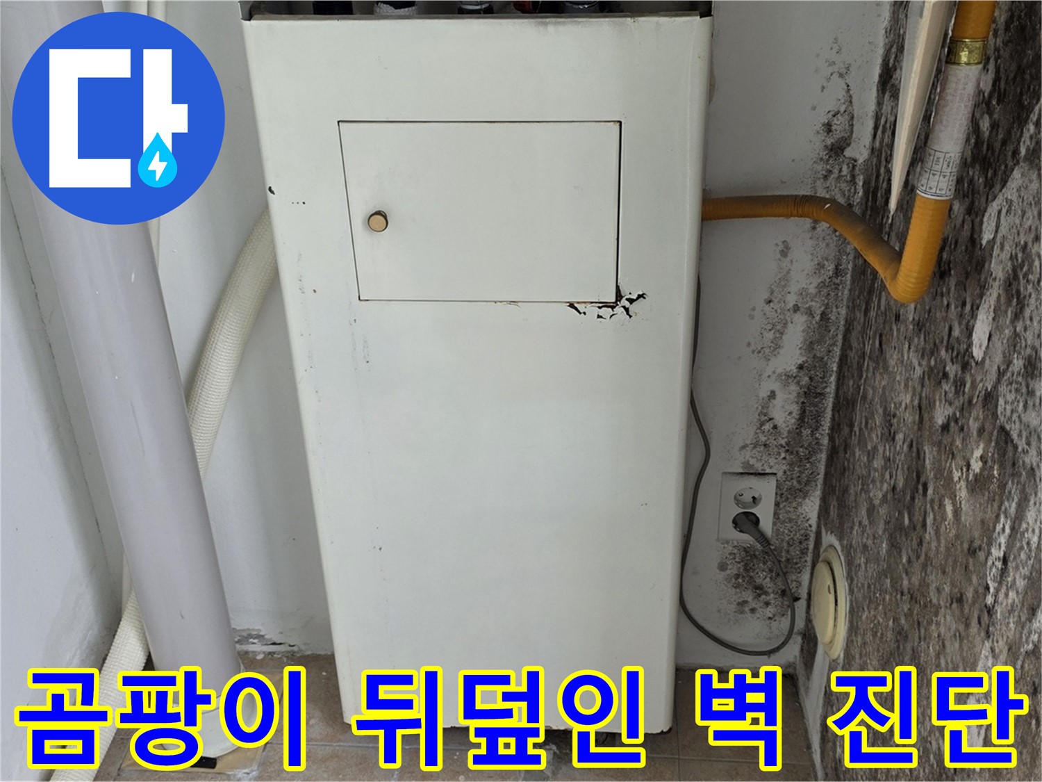 성북구 길음1동 숭인로 - 곰팡이 뒤덮인 벽 긴급 점검 - 누수 전문가의 신속한 진단