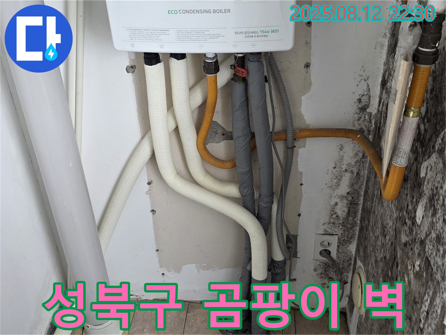 성북구 길음동 숭인1동의 곰팡이 벽 누수 문제 - 누수 원인을 정확히 찾아 곰팡이 문제까지 완벽하게 해결했습니다.