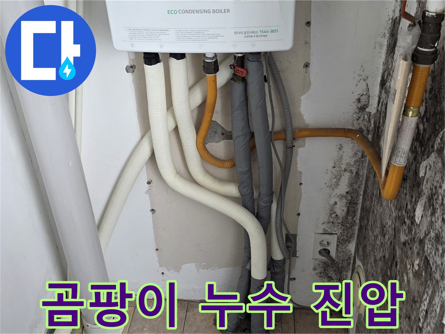 성북구 길음동 아파트 곰팡이 벽 - 보일러 배관 누수 초기 진압 현장