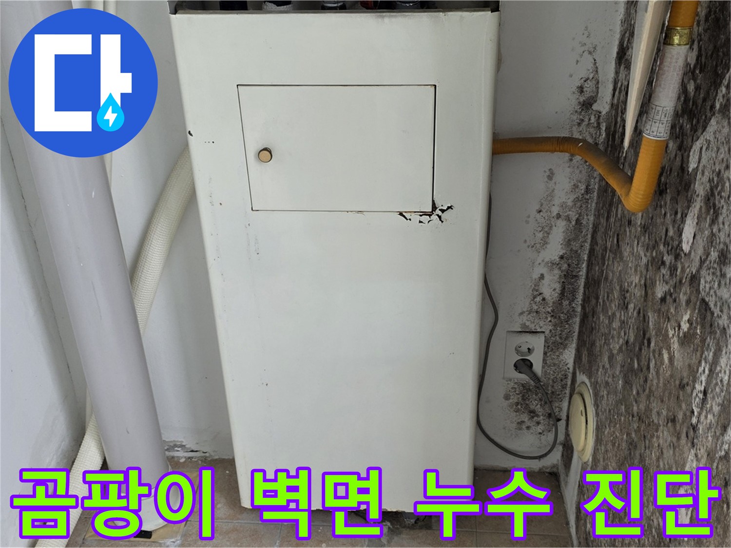 성북구 숭인동 길음1동 - 곰팡이 심한 벽면 긴급 점검 - 누수 전문가의 신속한 진단