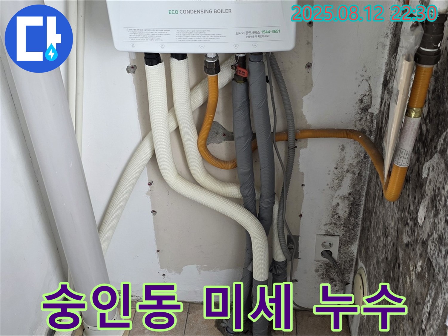 숭인동 길음동 노후 주택의 벽 미세 누수 문제 - 첨단 누수탐지 장비로 정확하게 누수 지점을 찾아 곰팡이 문제까지 해결했습니다.